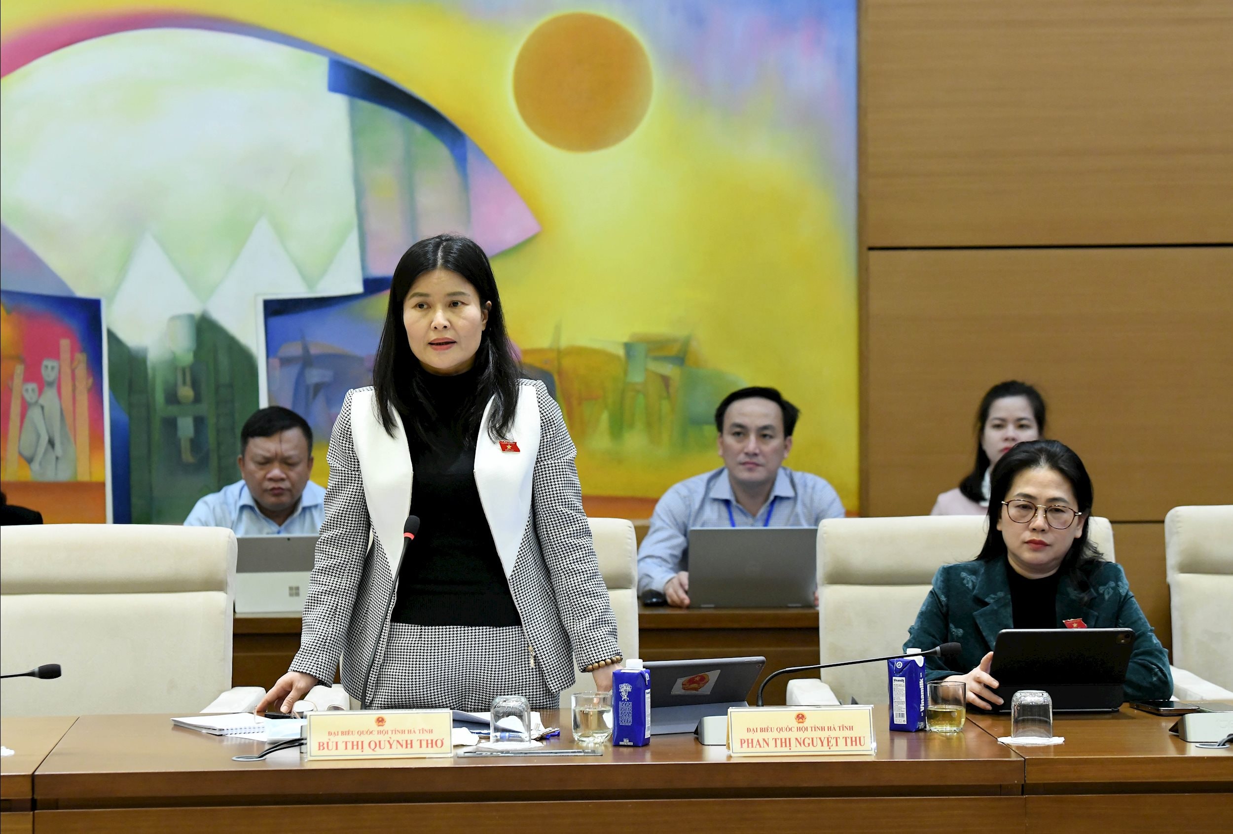 ĐB Bùi Thị Quỳnh Thơ, Đoàn ĐBQH Hà Tĩnh2
