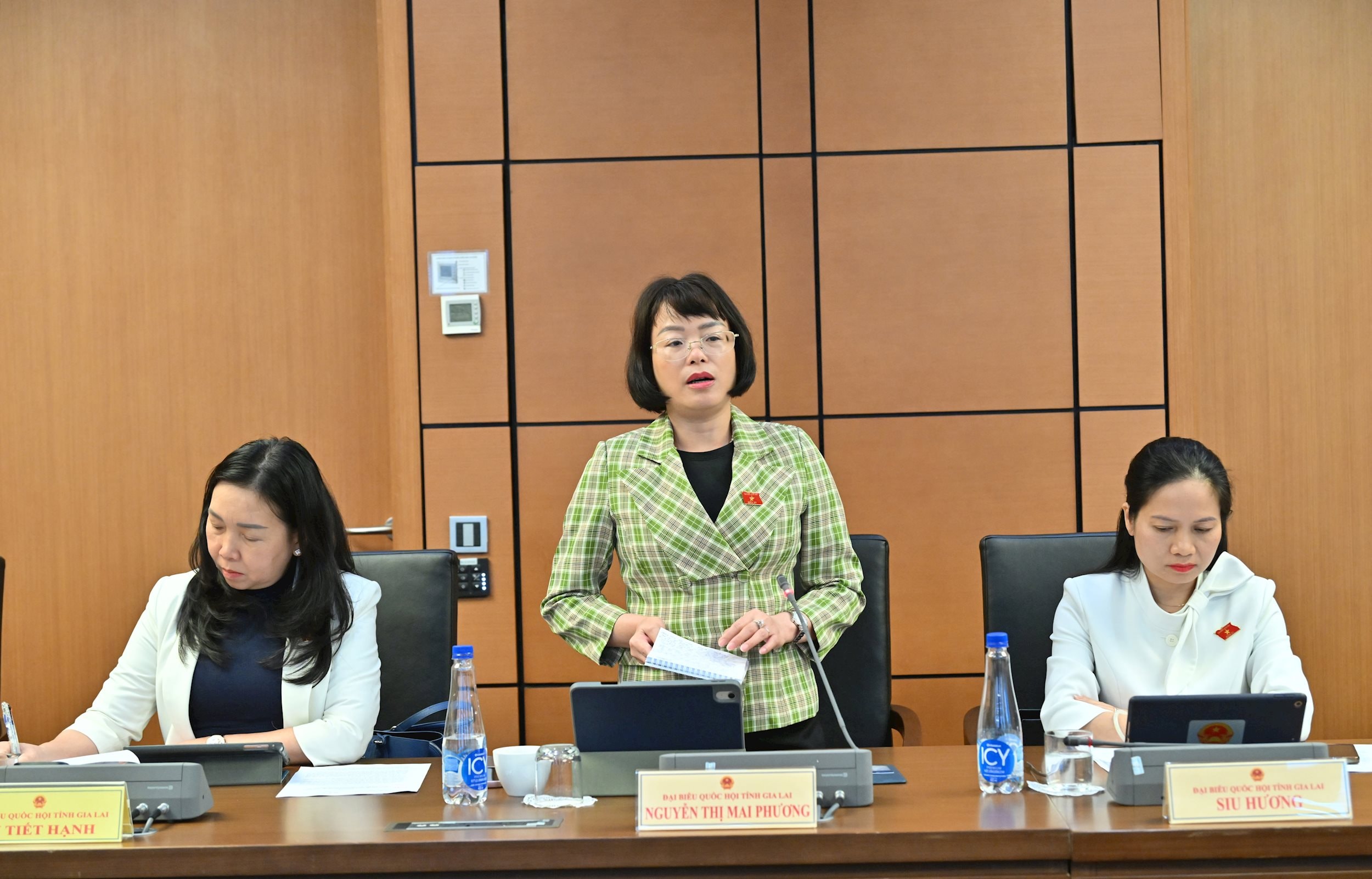 ĐBQH Nguyễn Thị Mai Phương (Gia Lai)