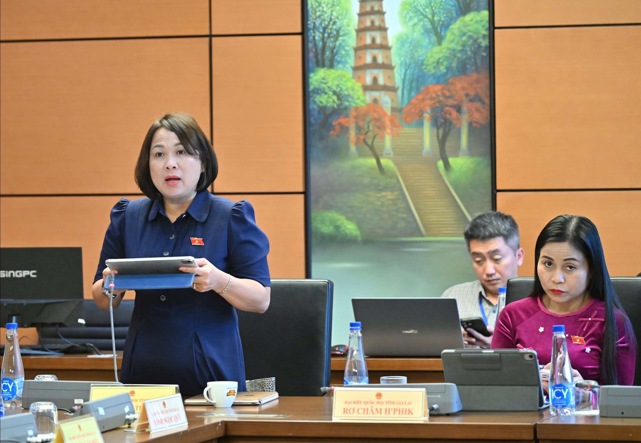 ĐBQH Nguyễn Thị Thu Thủy (Gia Lai)VQK_6560