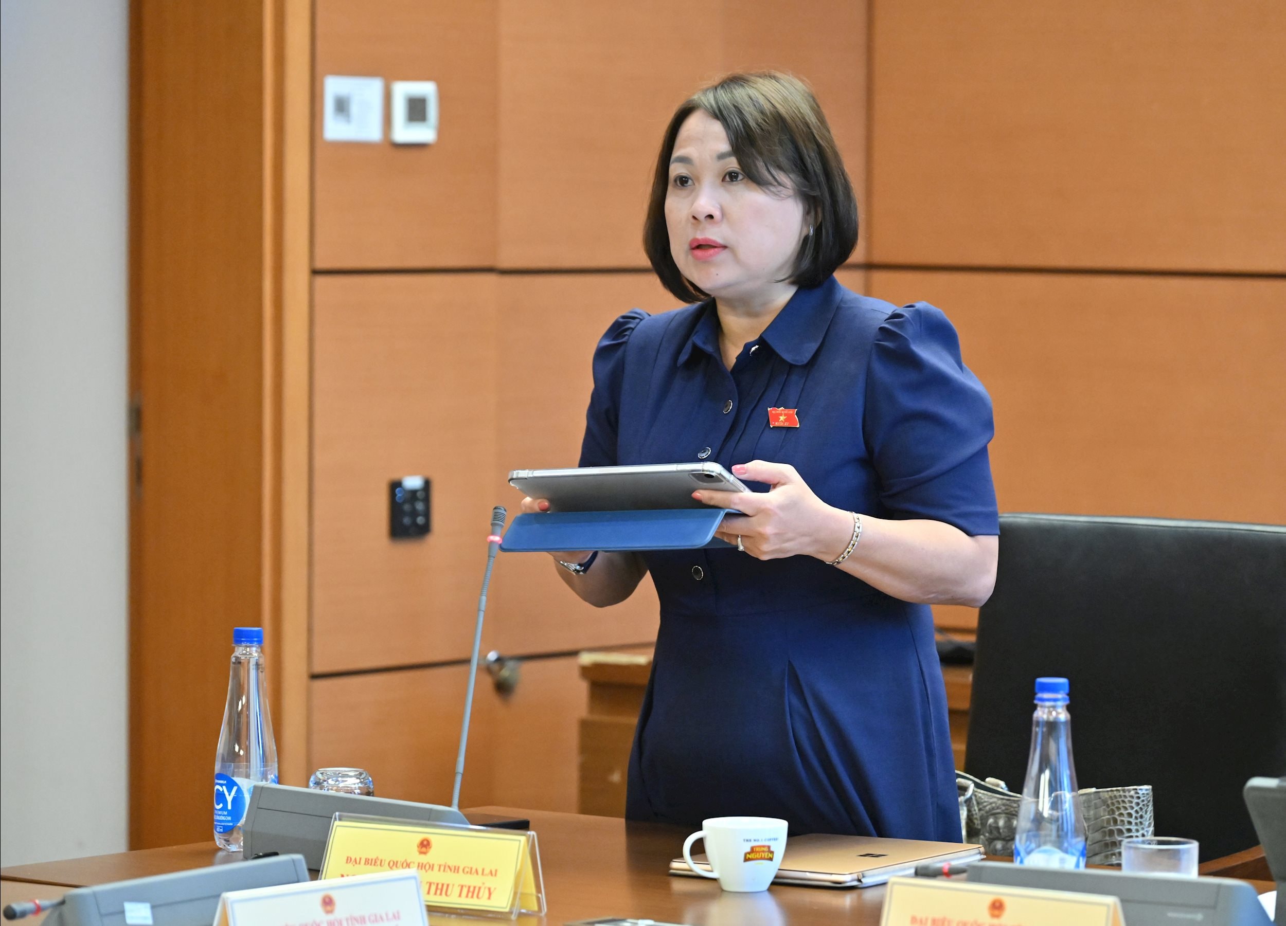 ĐBQH Nguyễn Thị Thu Thủy (Gia Lai)VQK_6565