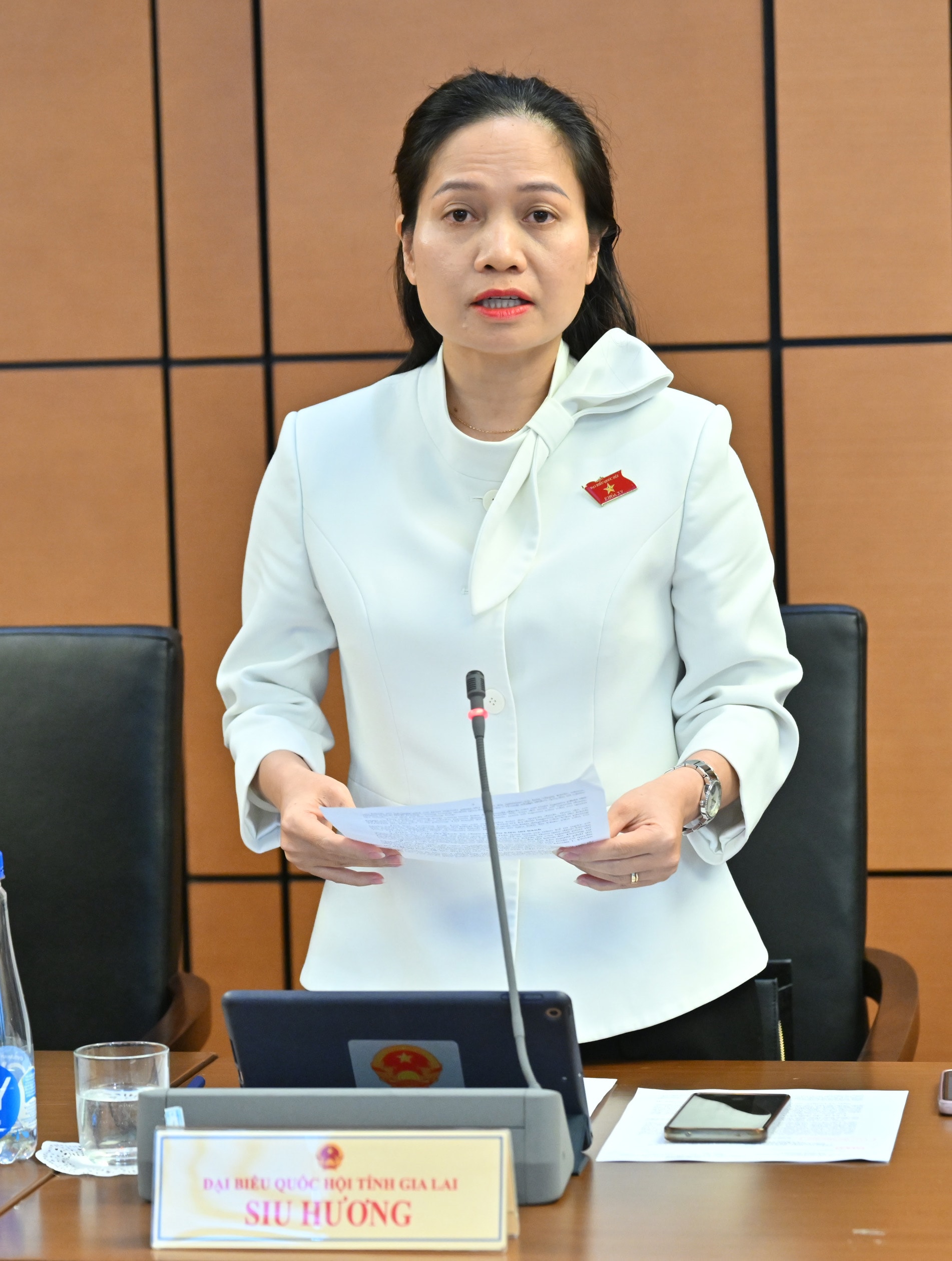 ĐBQH Siu Hương (Gia Lai)VQK_6516