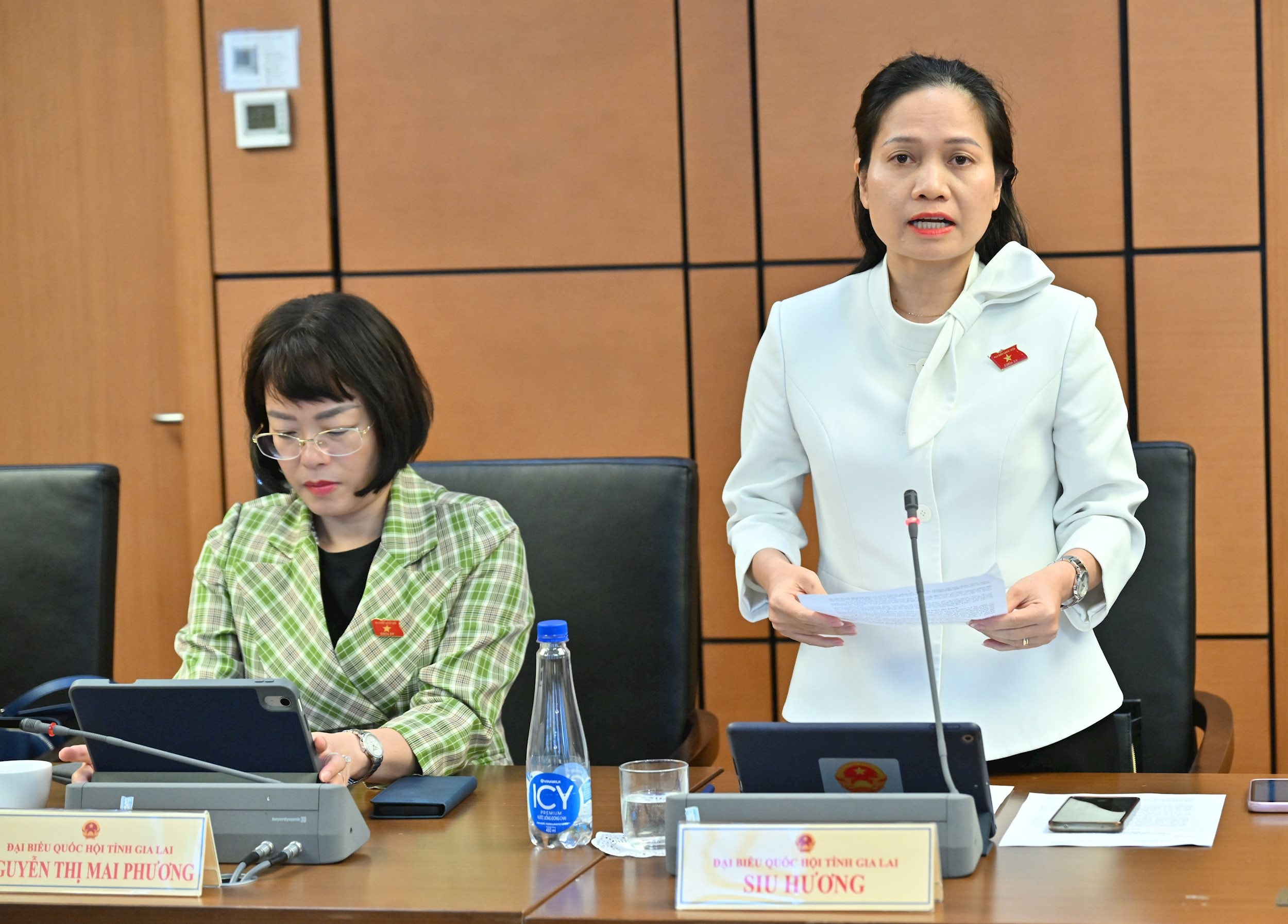 ĐBQH Siu Hương (Gia Lai)VQK_6517