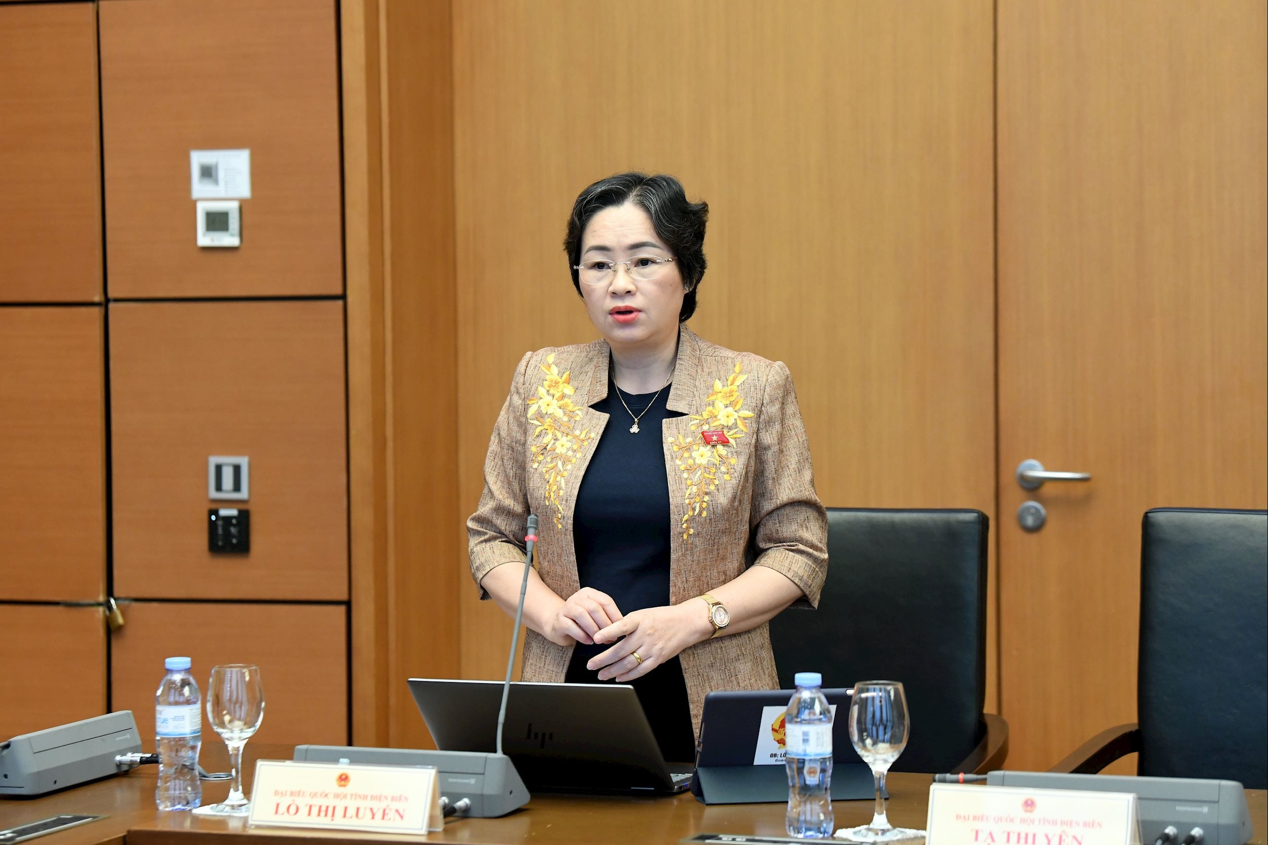 Phó Trưởng Đoàn chuyên trách phụ trách Đoàn ĐBQH tỉnh Điện Biên Lò Thị Luyến