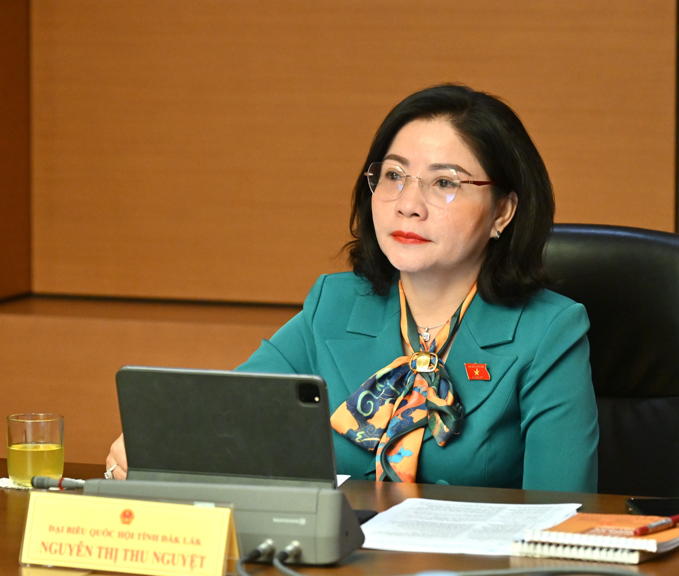 Phó Trưởng đoàn chuyên trách, phụ trách Đoàn ĐBQH tỉnh Nguyễn Thị Thu NguyệtVQK_6145