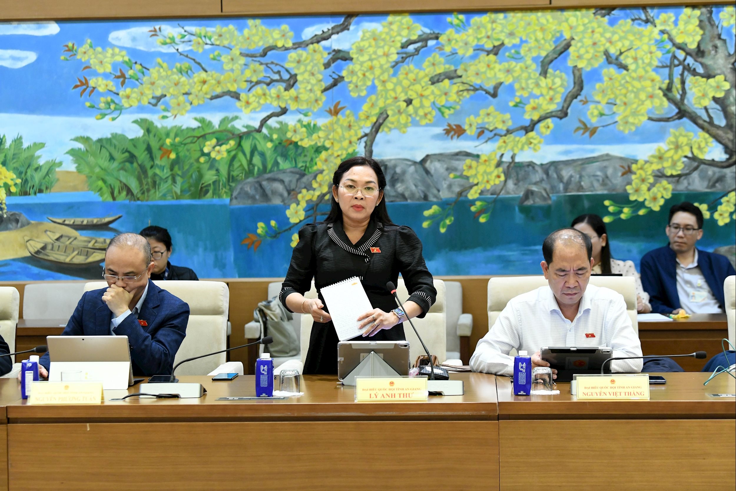 Phó trưởng Đoàn ĐBQH hoạt động chuyên trách tỉnh An Giang Lý Anh Thư