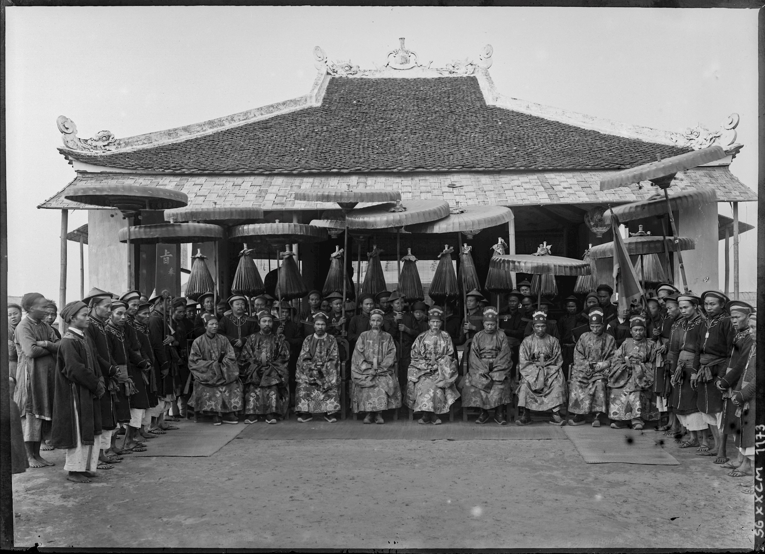 Cat Firmin-André Salles -1