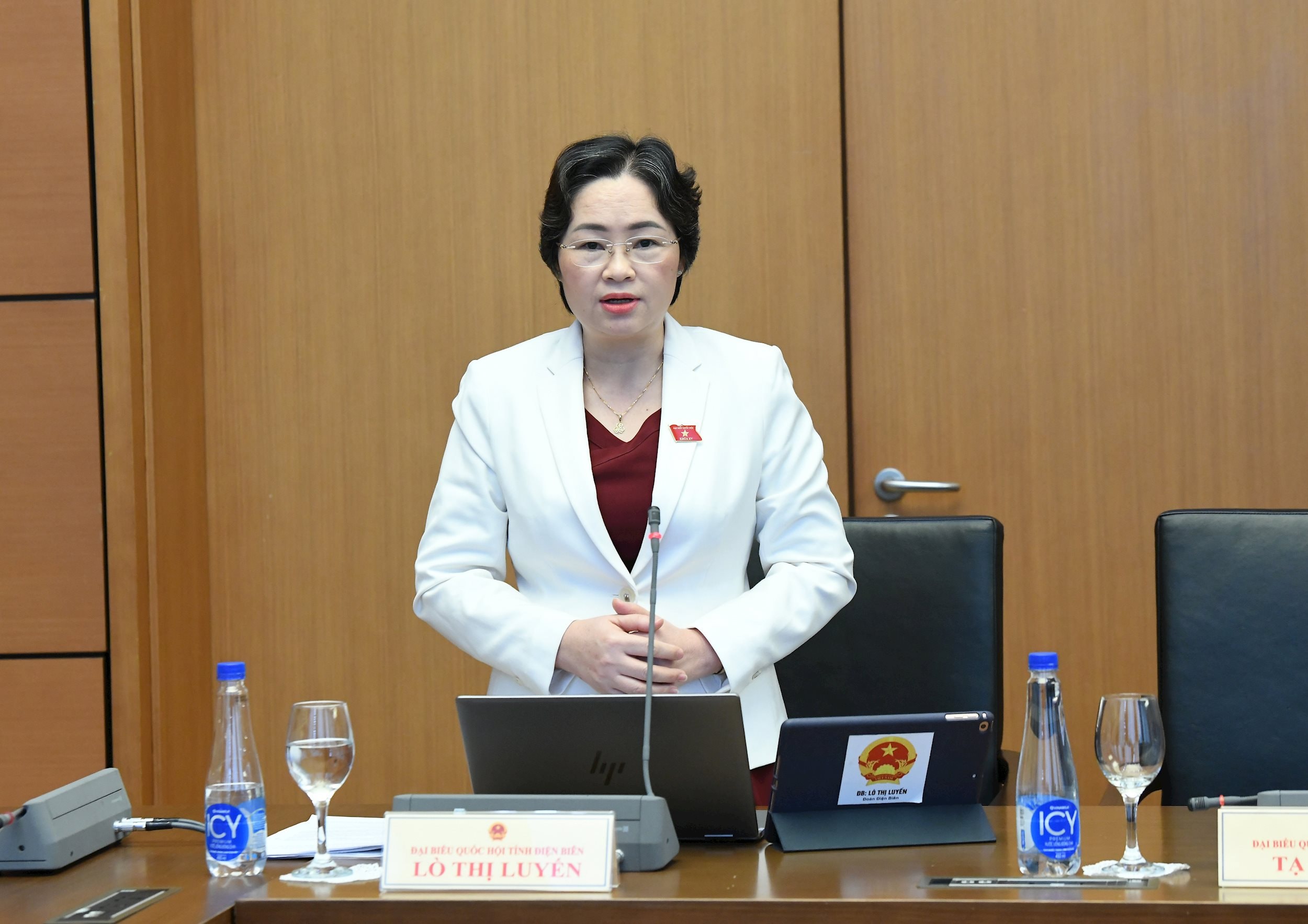 Đại biểu Lò Thị Luyến, Đoàn ĐBQH Điện Biên.2