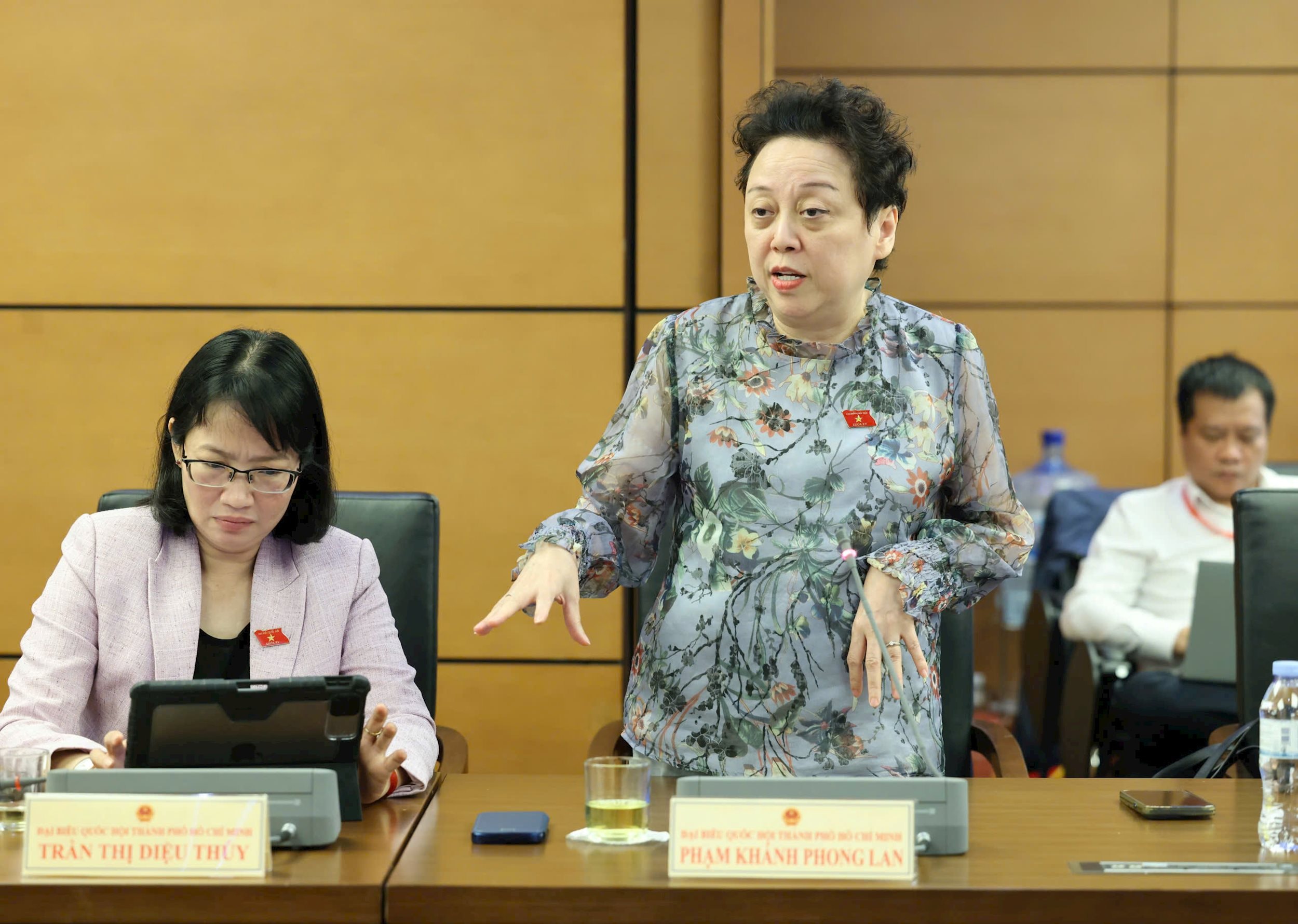 ĐBQH Đinh Khánh Phong Lan (TP Hồ Chí Minh)