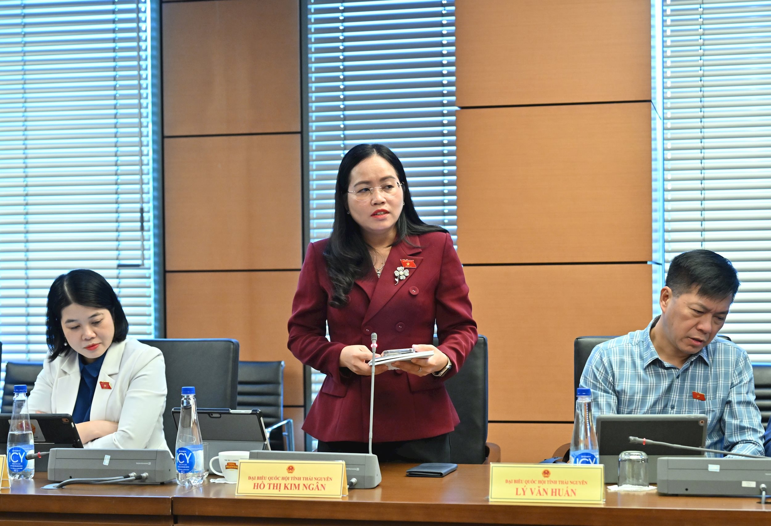 ĐBQH Hồ Thị Kim Ngân (Thái Nguyên)