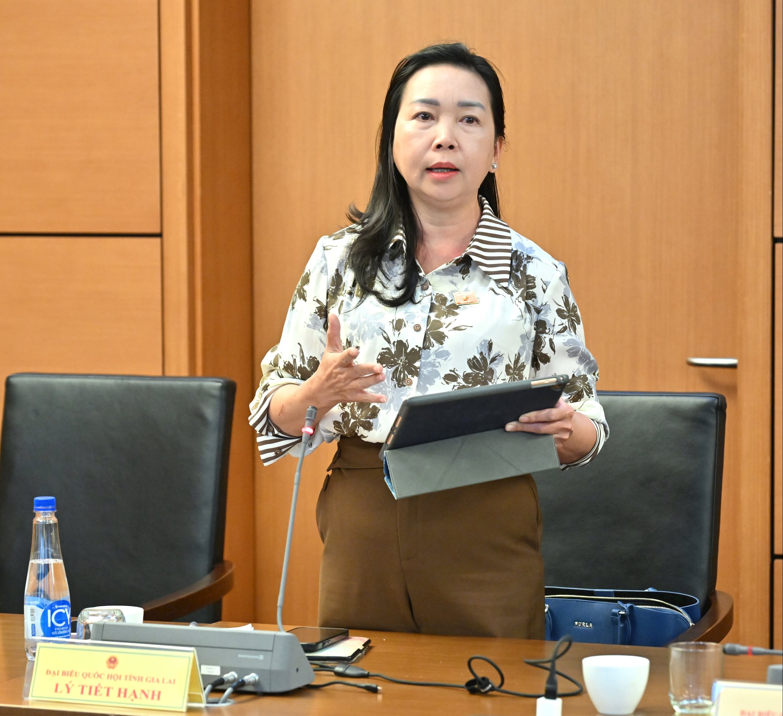 ĐBQH Lý Tiết Hạnh (Gia Lai)