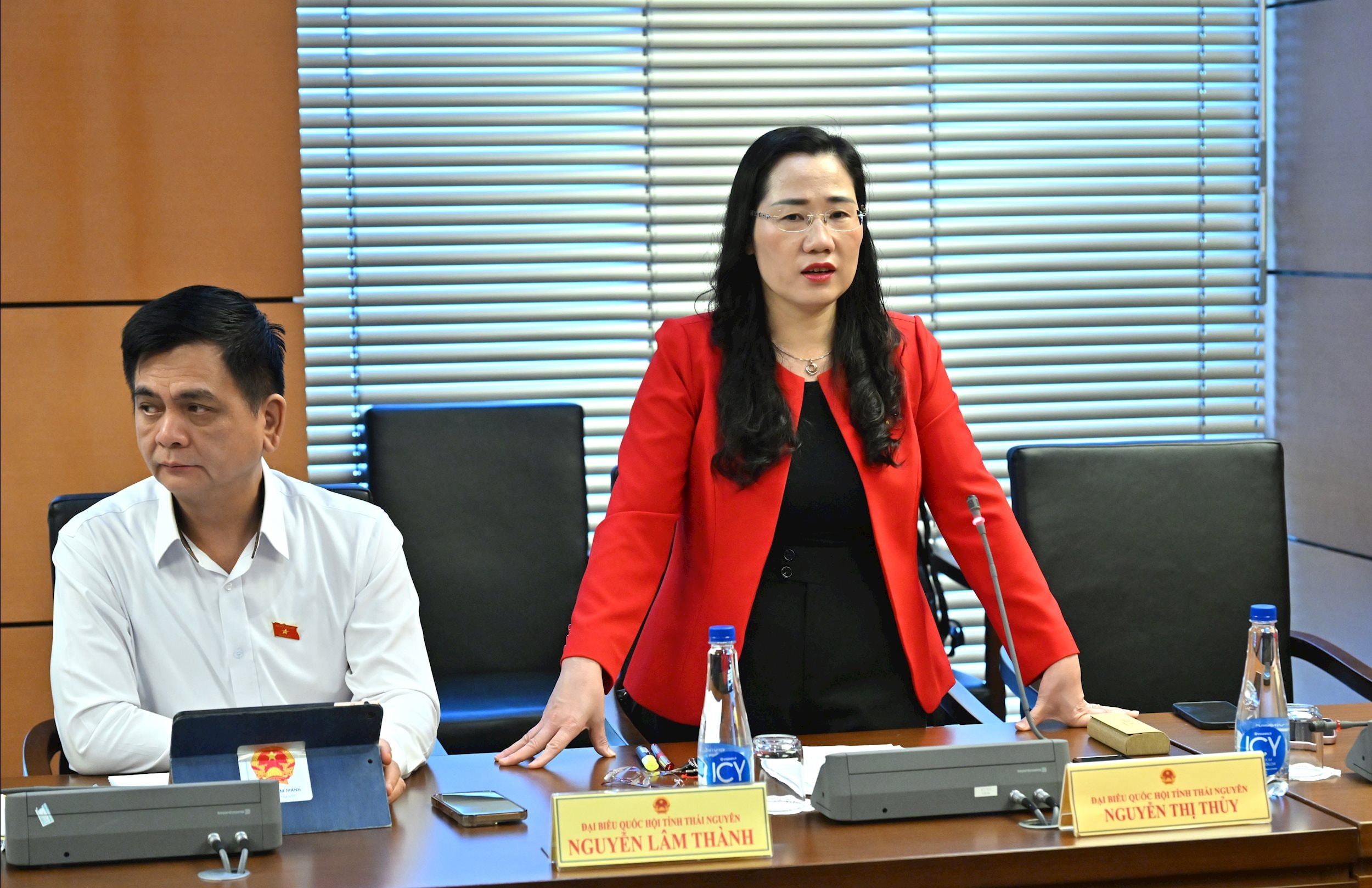 ĐBQH Nguyễn Thị Thủy (Thái Nguyên)