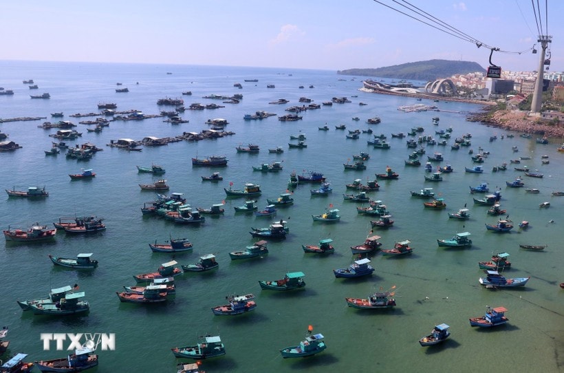 Vietnam advocates sustainable development of its marine economy and aims to maintain the sustainable growth of the fisheries sector with a fleet structure and fishing methods aligned with the aquatic resource exploitation capacity. (Photo: VNA)