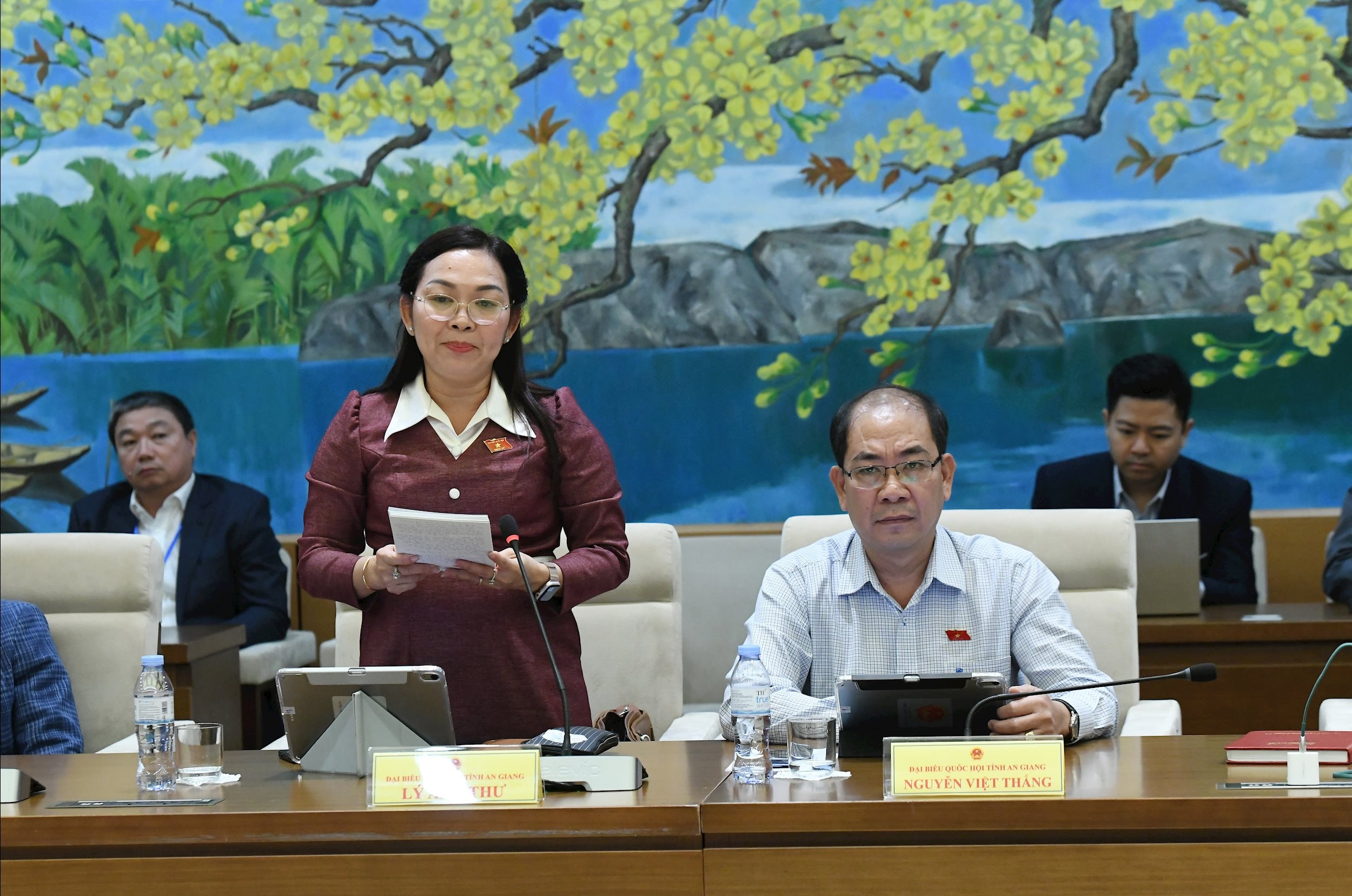 Phó trưởng Đoàn ĐBQH hoạt động chuyên trách tỉnh An Giang Lý Anh Thư.2