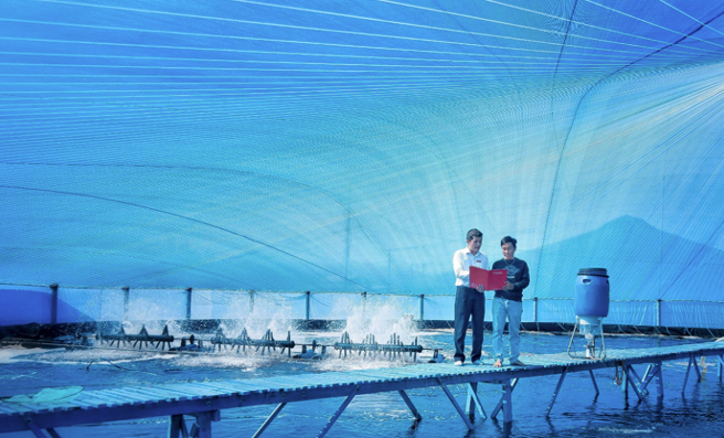 Captură de ecran din 06.11.2025 la 16.42.36