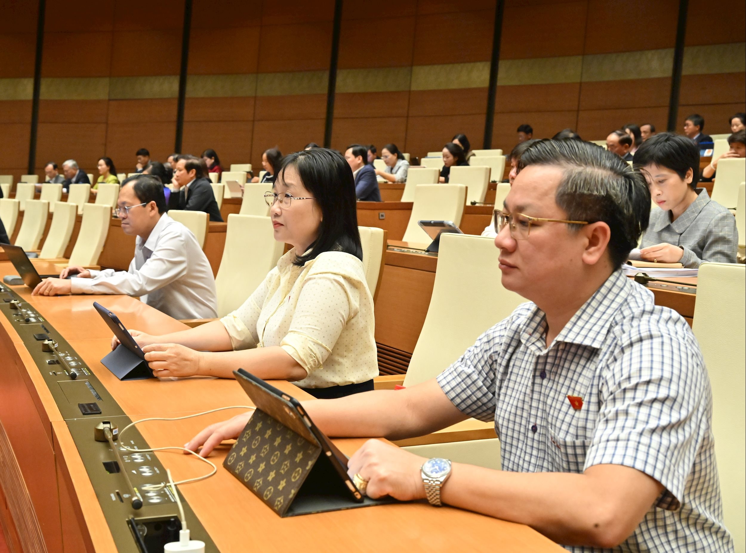 Các đại biểu tại phiên họpVQK_7531