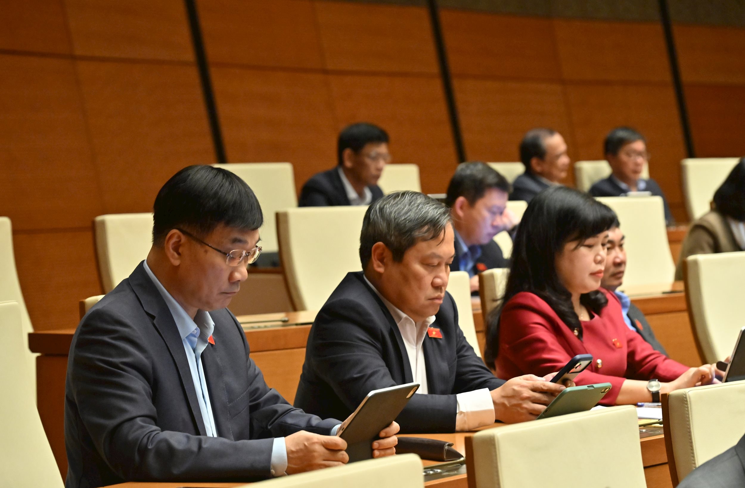 Các đại biểu tại phiên họpVQK_7541