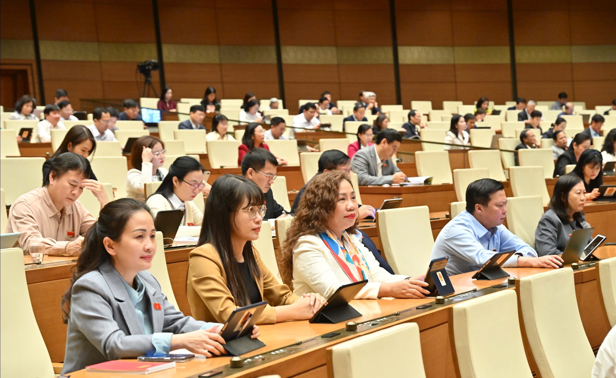 Các đại biểu tại phiên họpVQK_7544