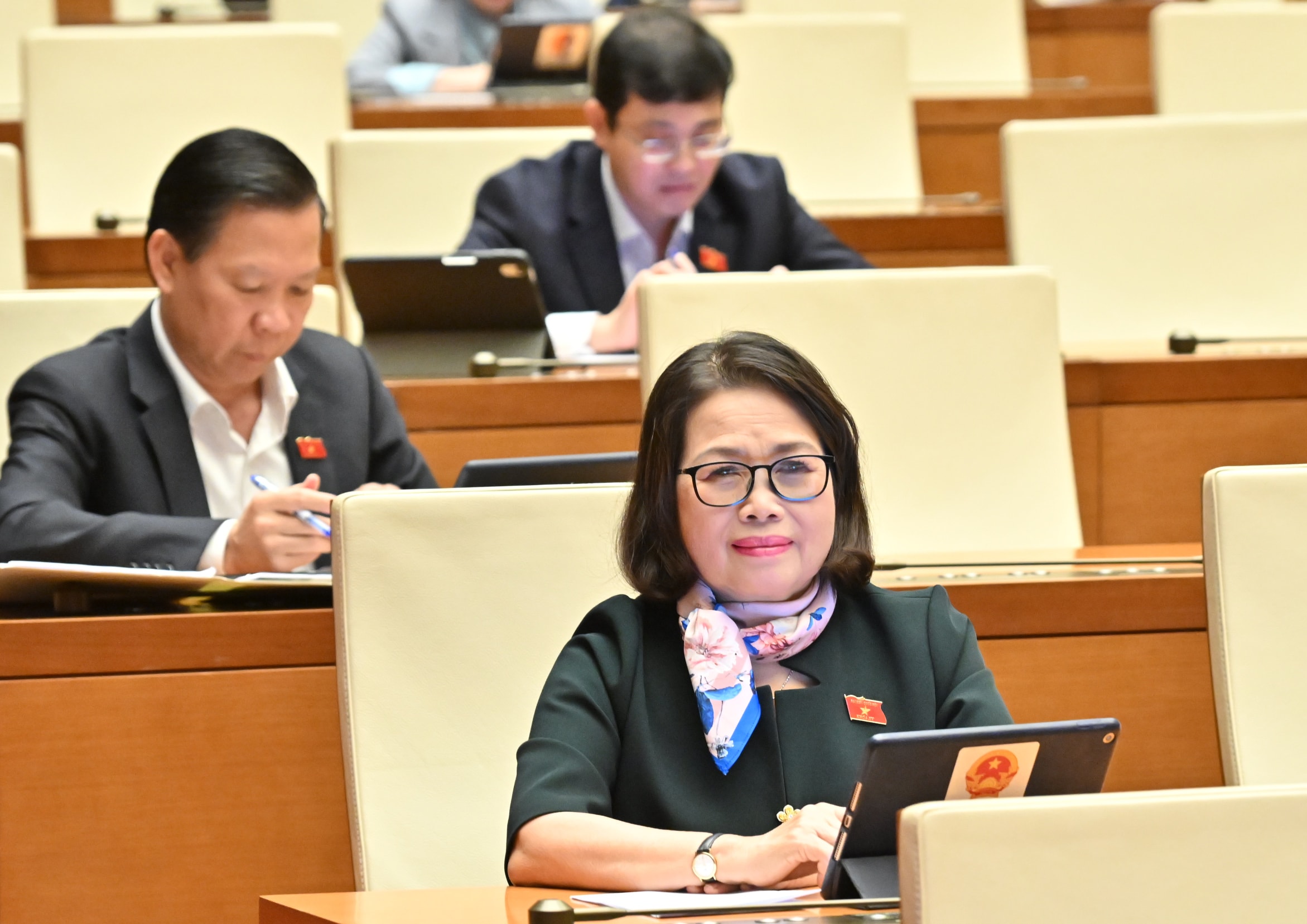 Các đại biểu tại phiên họpVQK_7583