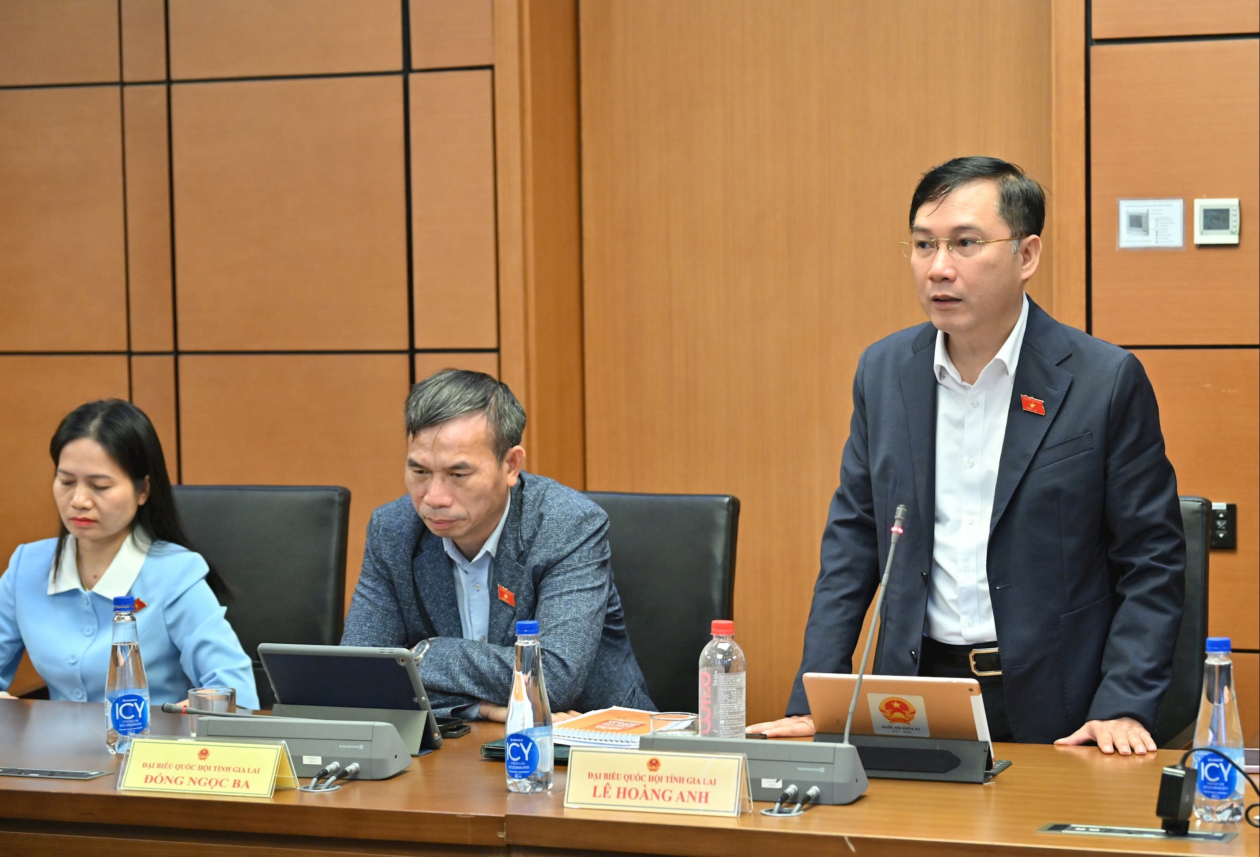 ĐBQH Lê Hoàng Anh (Gia Lai)