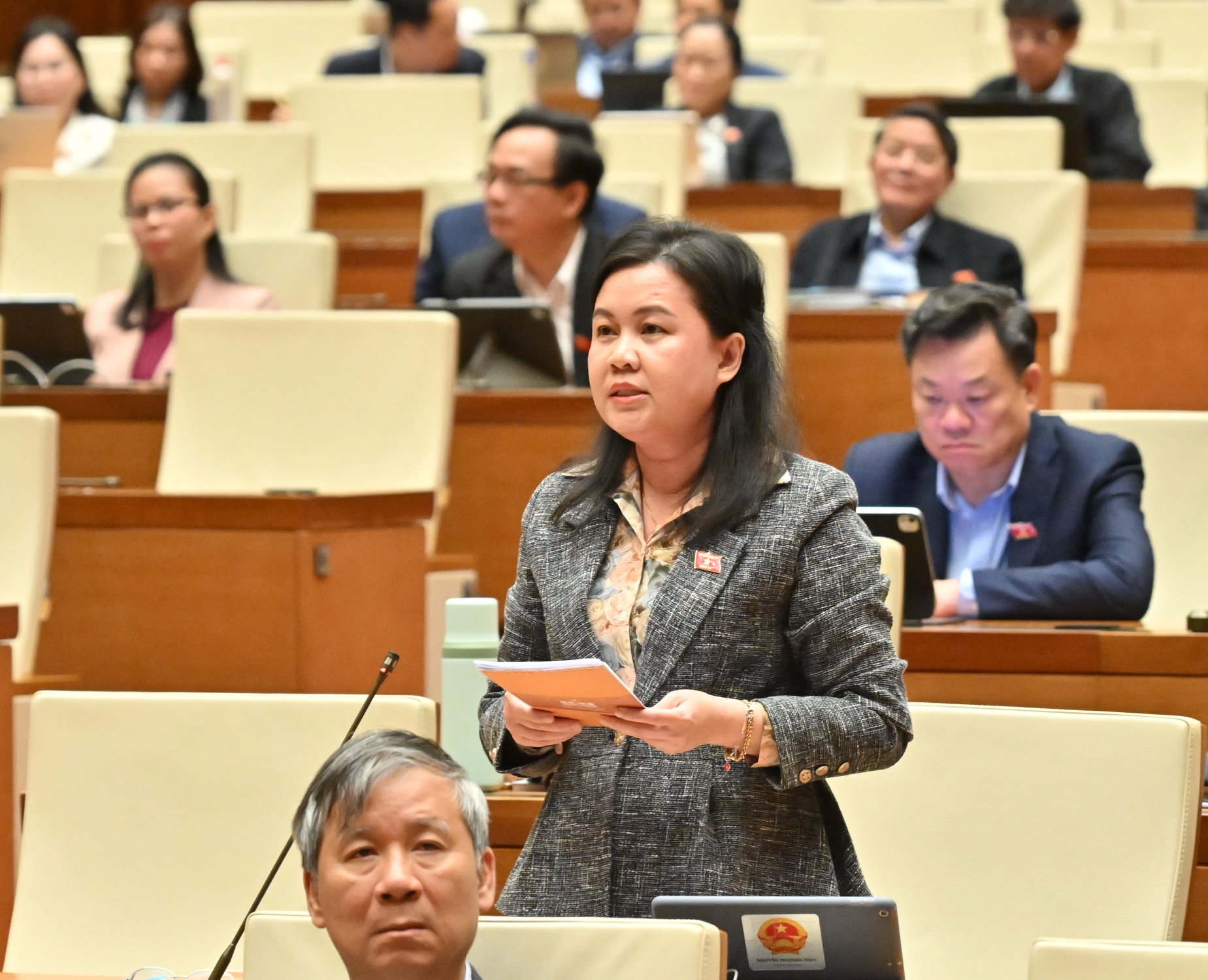 ĐBQH Nguyễn Phương Thủy (Hà Nội)