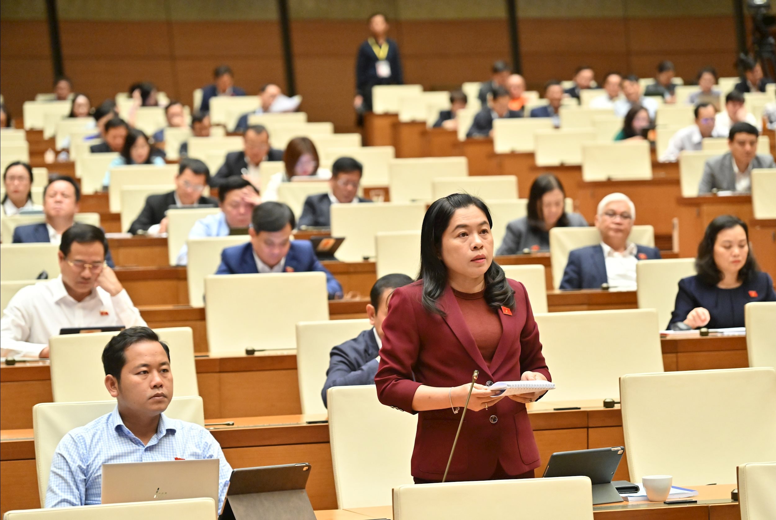 ĐBQH Nguyễn Trần Phượng Trân (TP Hồ Chí Minh)