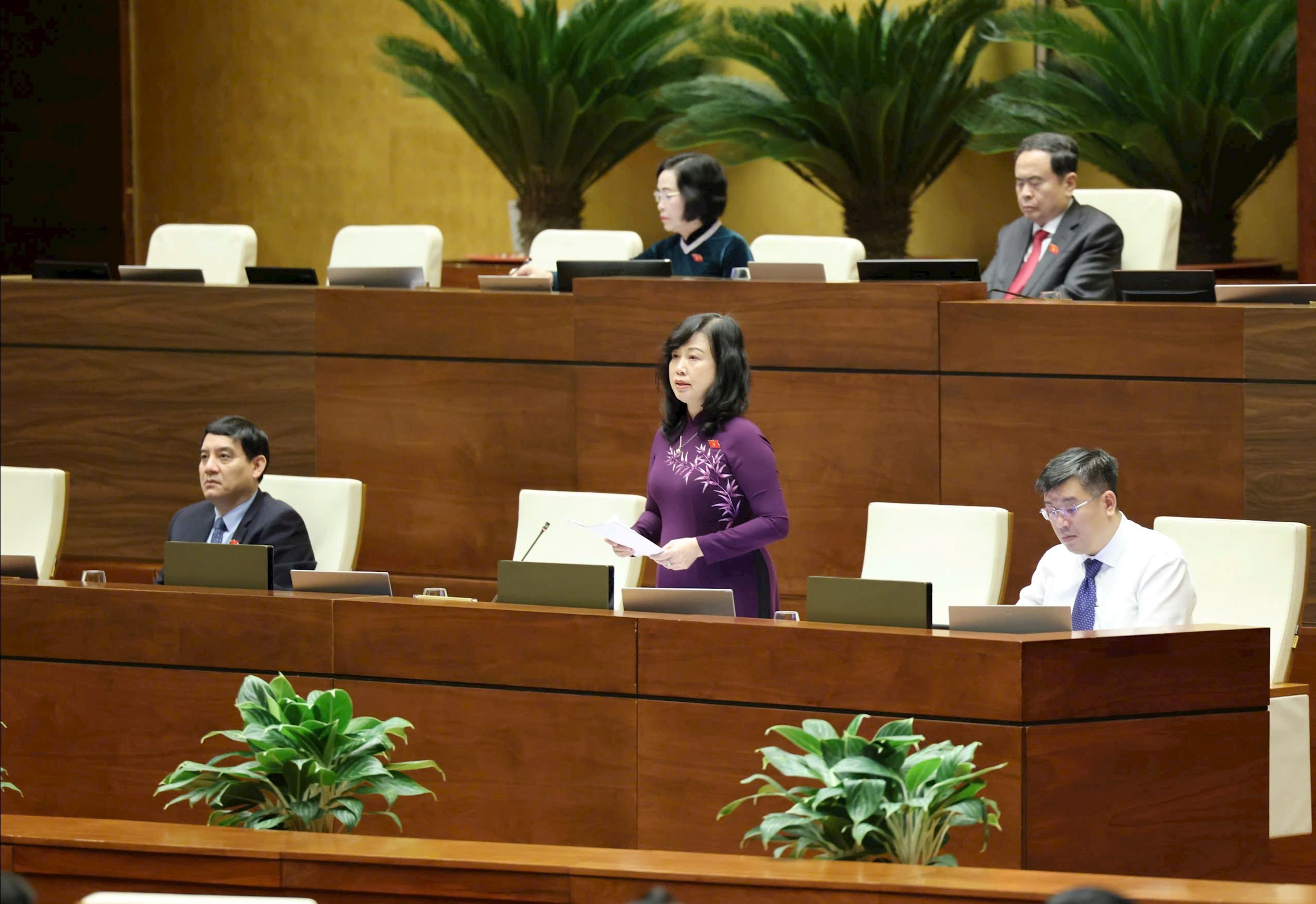 Bộ trưởng Bộ Y tế Đào Hồng Lan