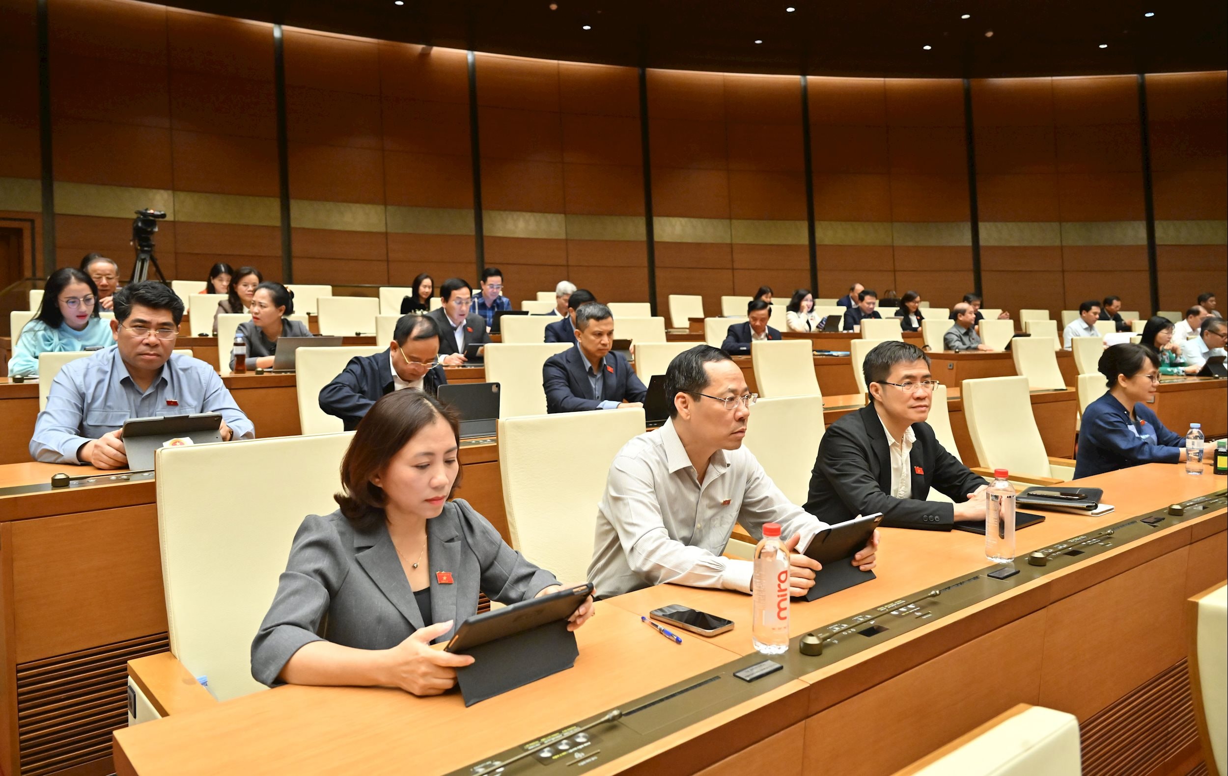Các đại biểu tại phiên họpVQK_8814