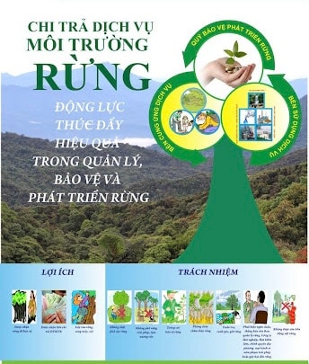 Chi trả dịch vụ môi trường rừng góp phần nâng cao đời sống cho người dân gắn bó với rừng, bảo vệ môi trường, bảo tồn đa dạng sinh học các hệ sinh thái rừng. Ảnh CLN