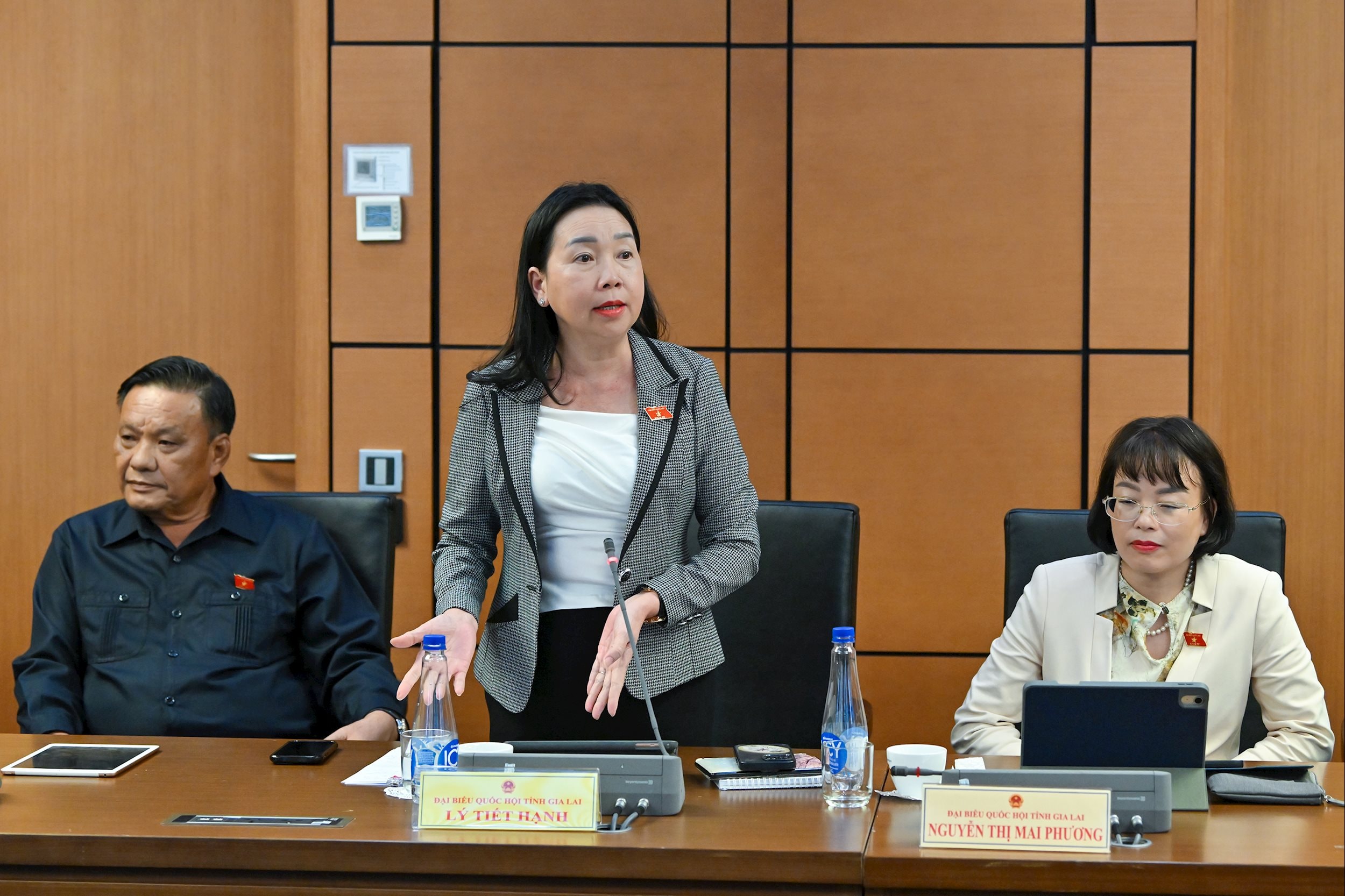 ĐB Lý Tiết Hạnh, Đoàn ĐBQH Gia Lai