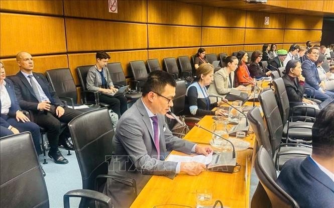 Ambassador Vu Le Thai Hoang speaks at the meetnig (Photo: VNA)
