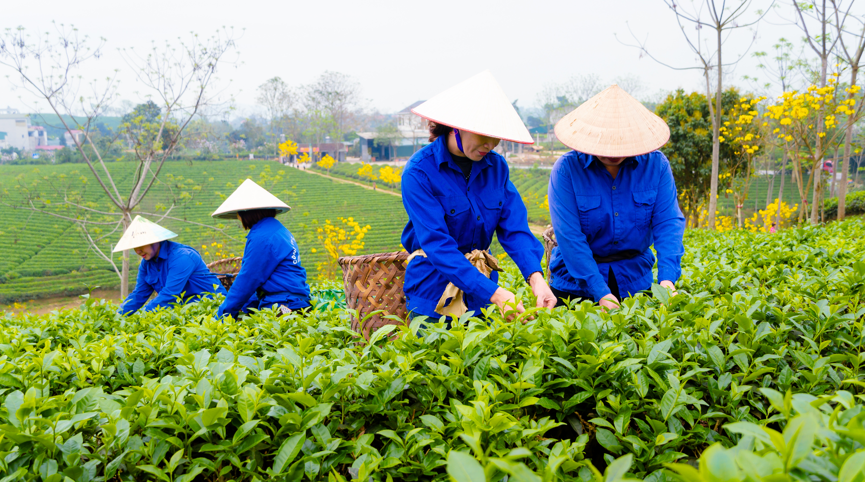 Скриншот 2025-11-12 в 20.41.58