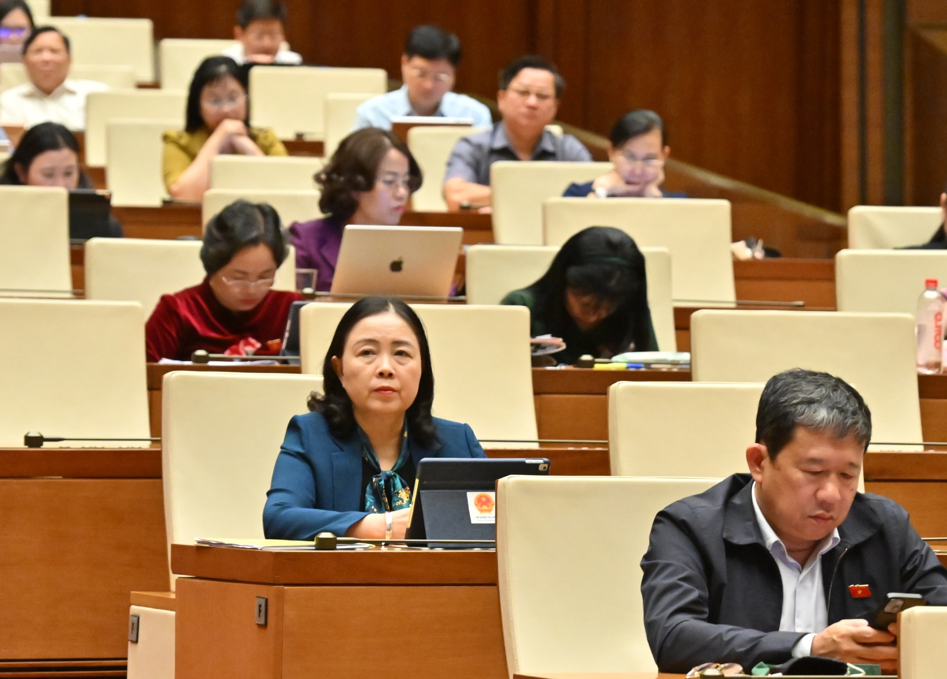 Các đại biểu tại phiên họp