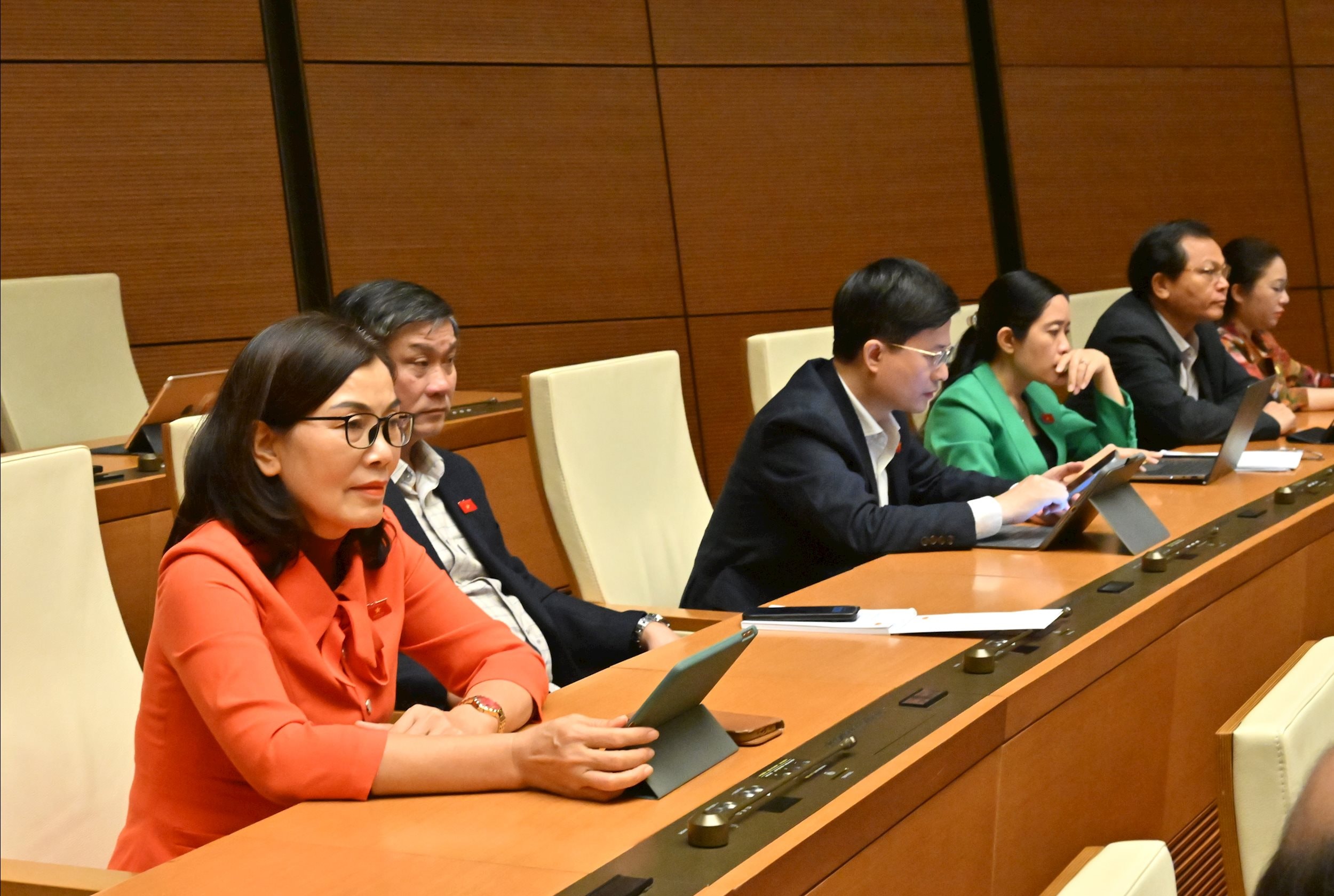 Các đại biểu tại phiên họp