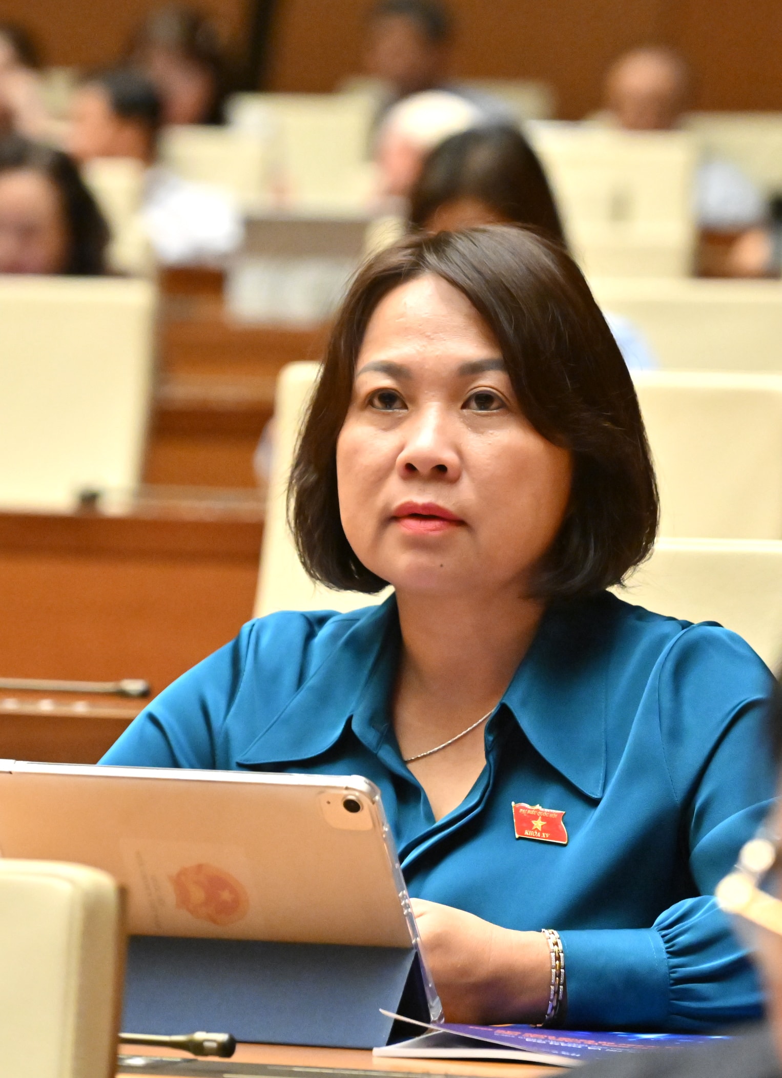 Các đại biểu tại phiên họpVQK_0366