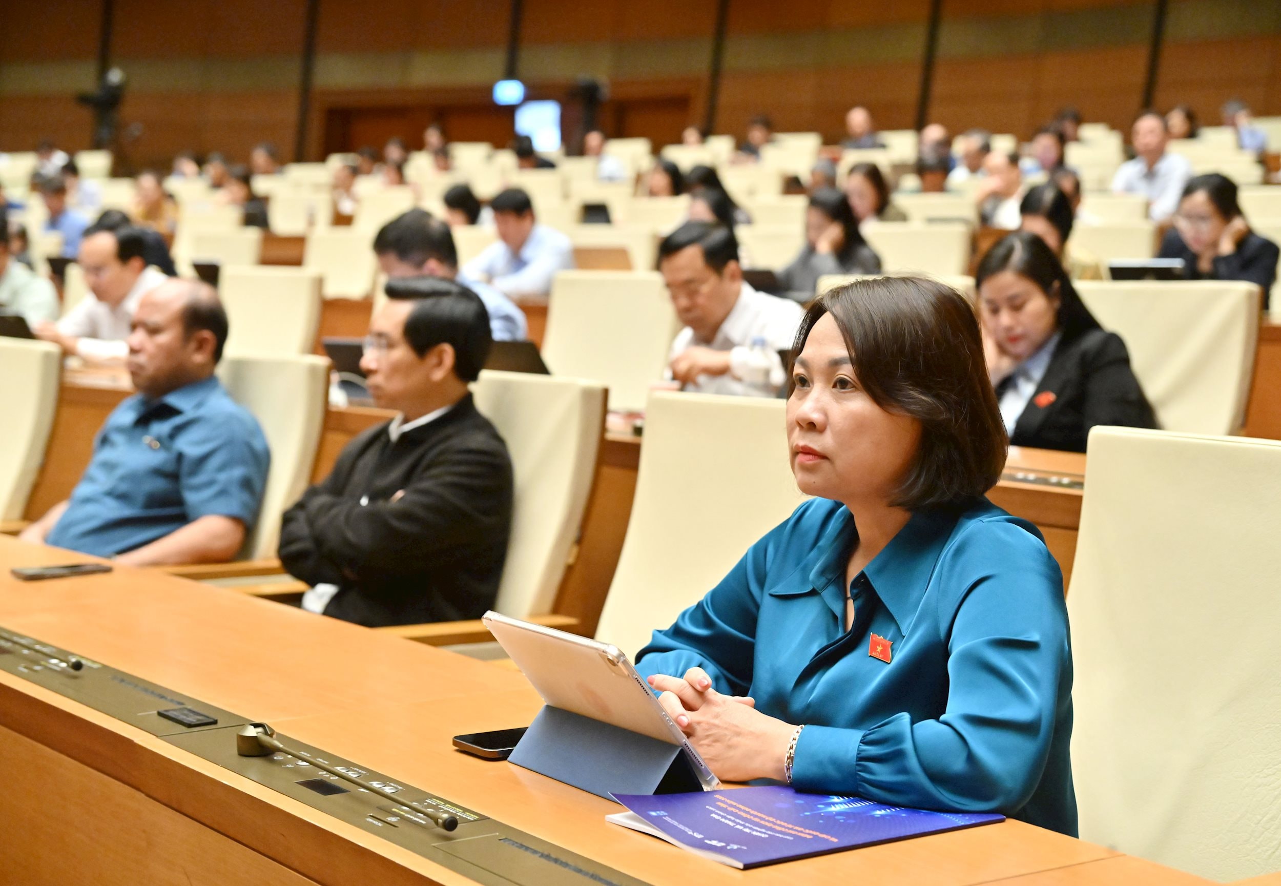 Các đại biểu tại phiên họpVQK_0375