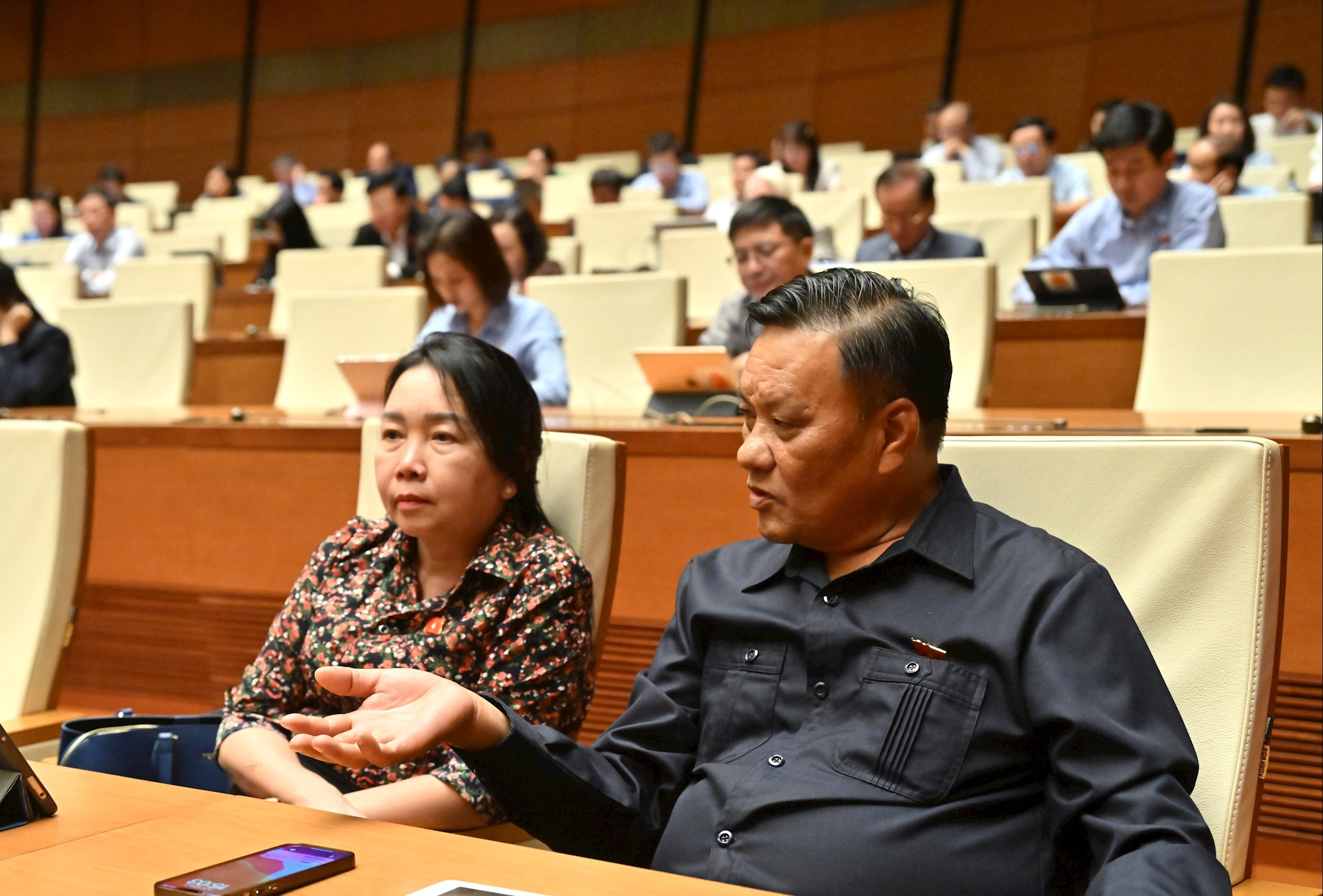 Các đại biểu tại phiên họpVQK_0377