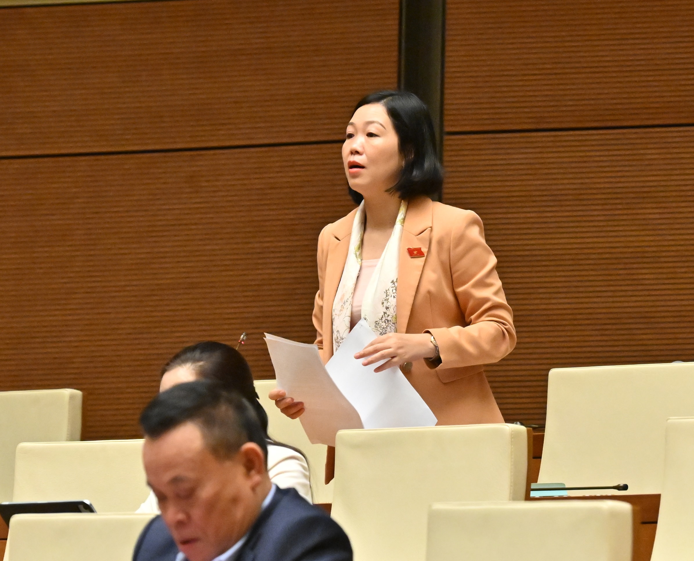 ĐBQH Nguyễn Thị Lan Anh (Lào Cai)VQK_0073