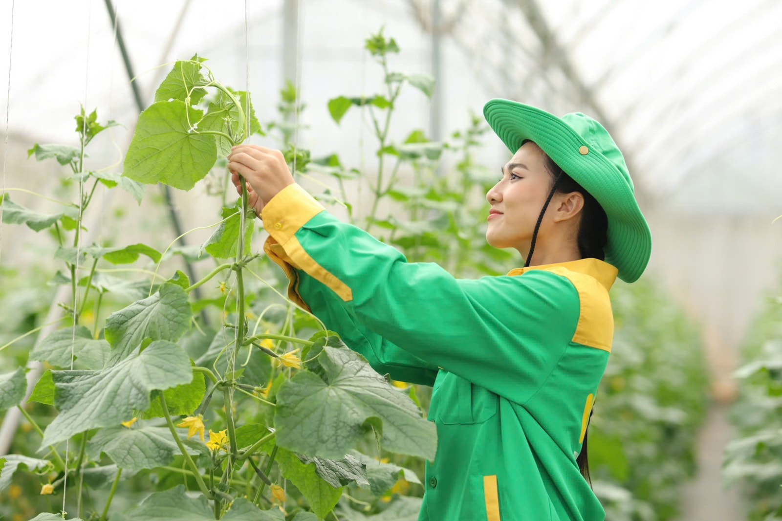 WinEco sở hữu hệ thống 14 nông trường công nghệ cao