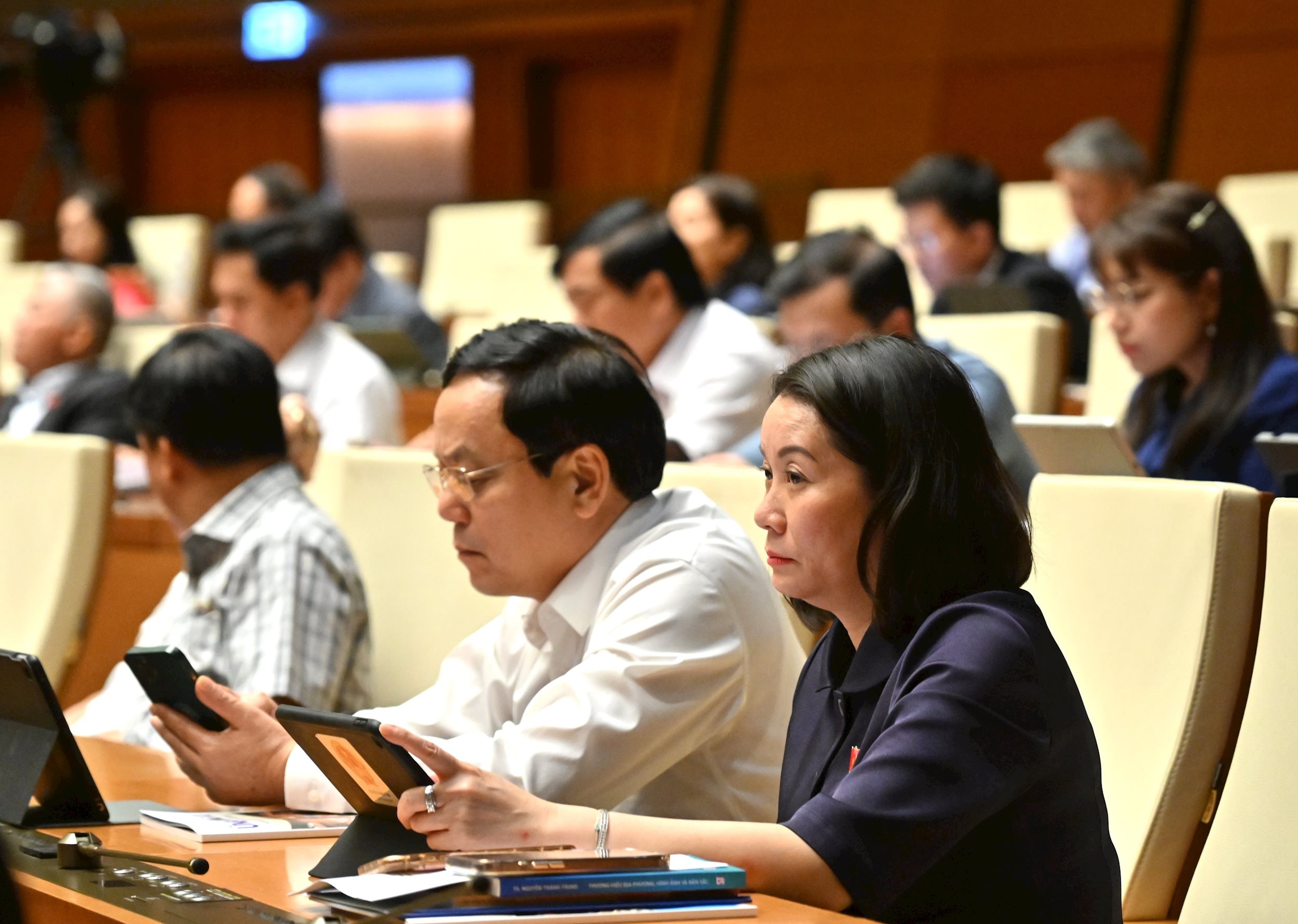 Các đại biểu tại phiên họp