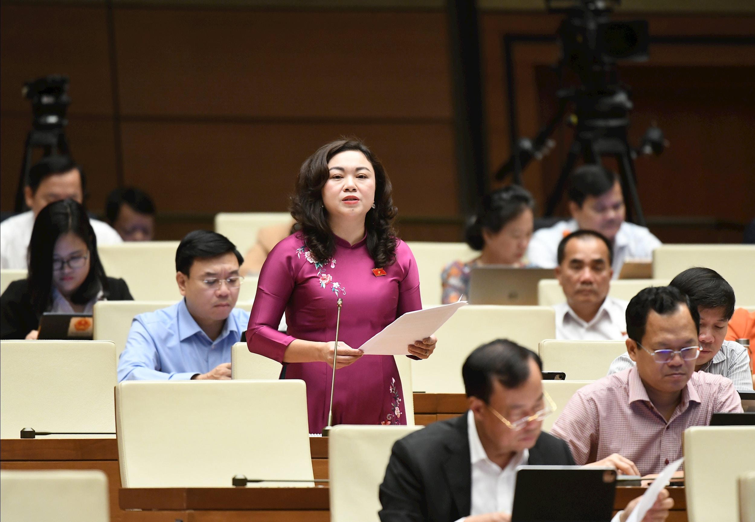 Đại biểu Đặng Bích Ngọc, Hoà Bình2