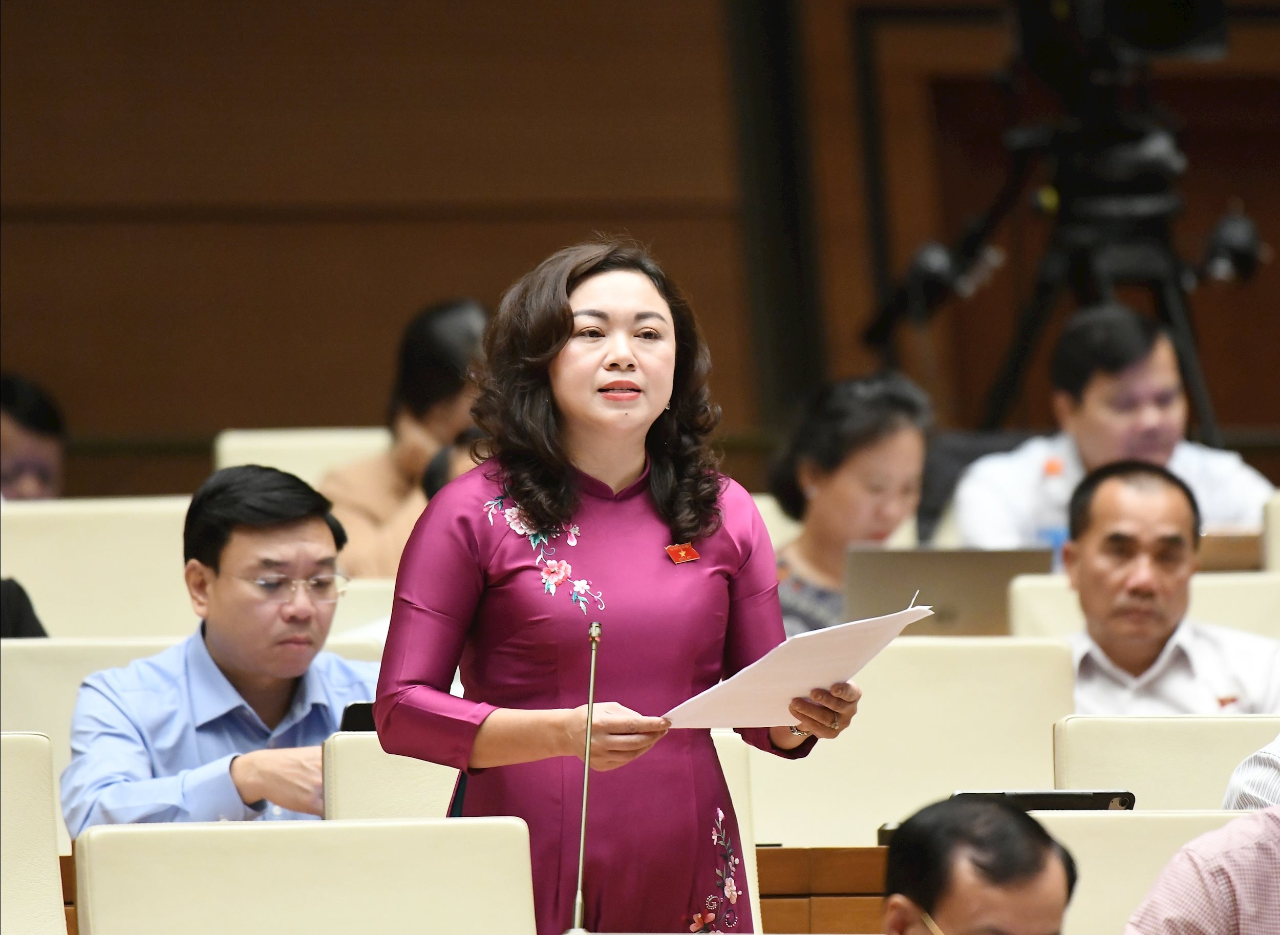 Đại biểu Đặng Bích Ngọc, Hoà Bình4