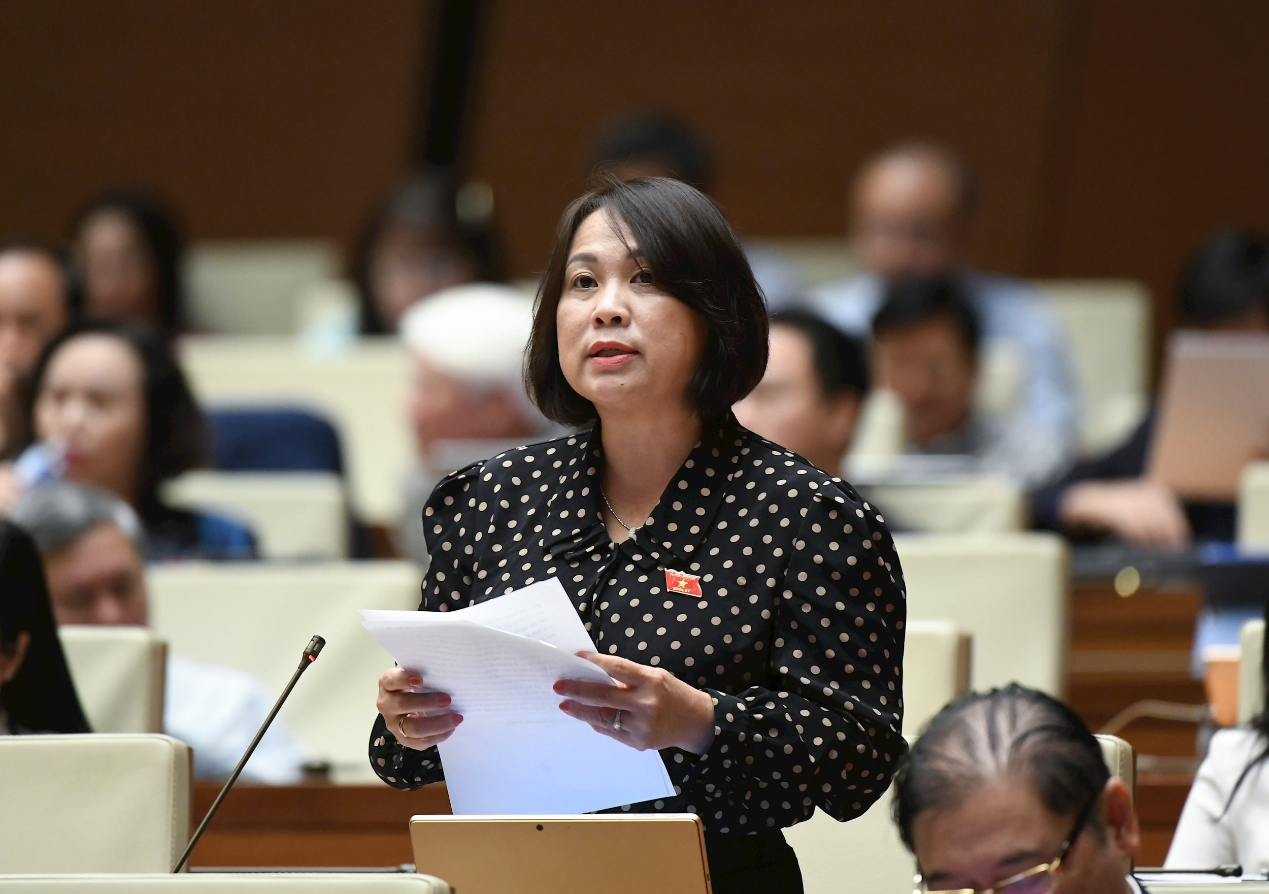 Đại biểu Nguyễn Thị Thu Thuỷ, đoàn Gia Lai