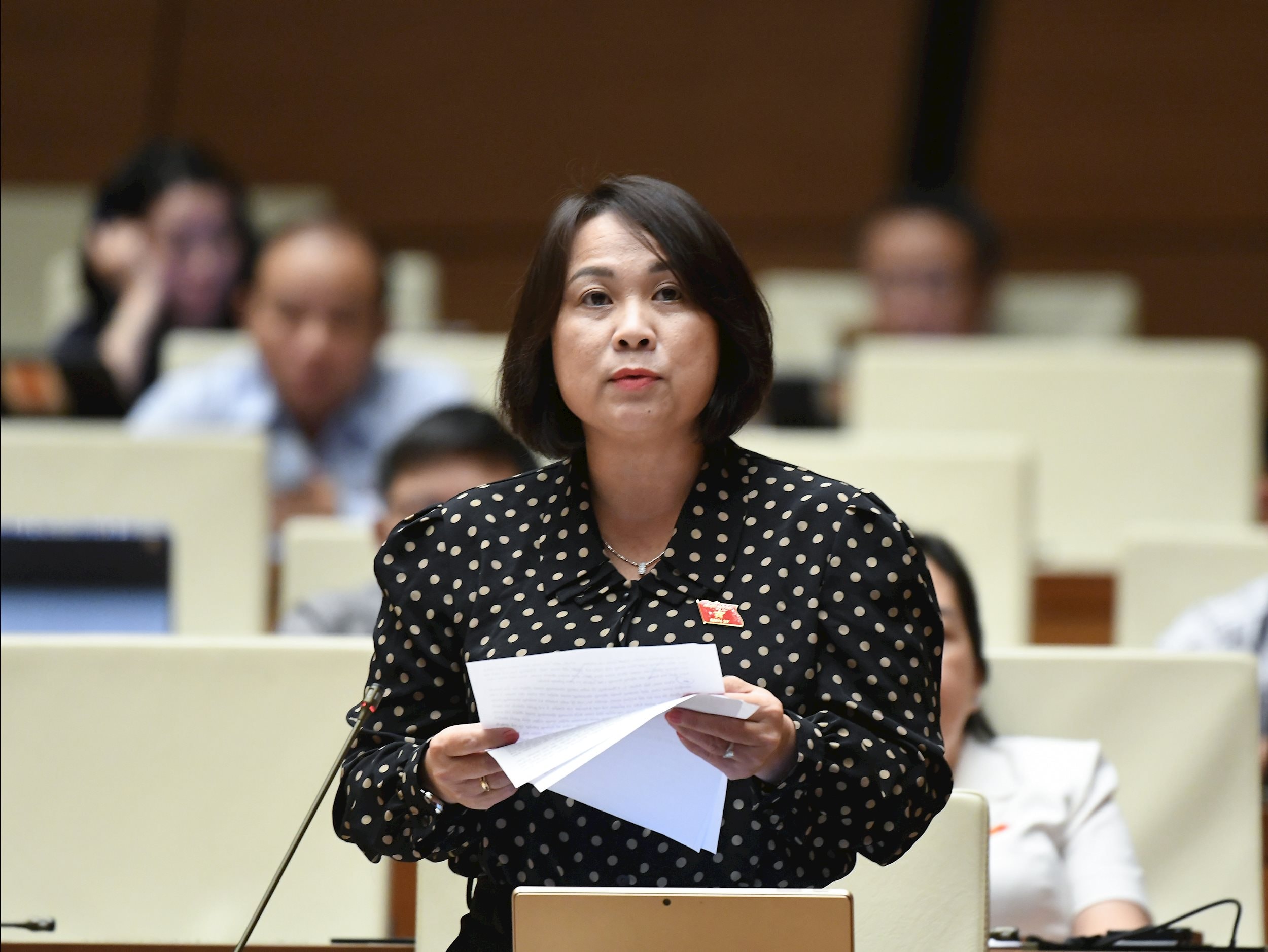 Đại biểu Nguyễn Thị Thu Thuỷ, đoàn Gia Lai11