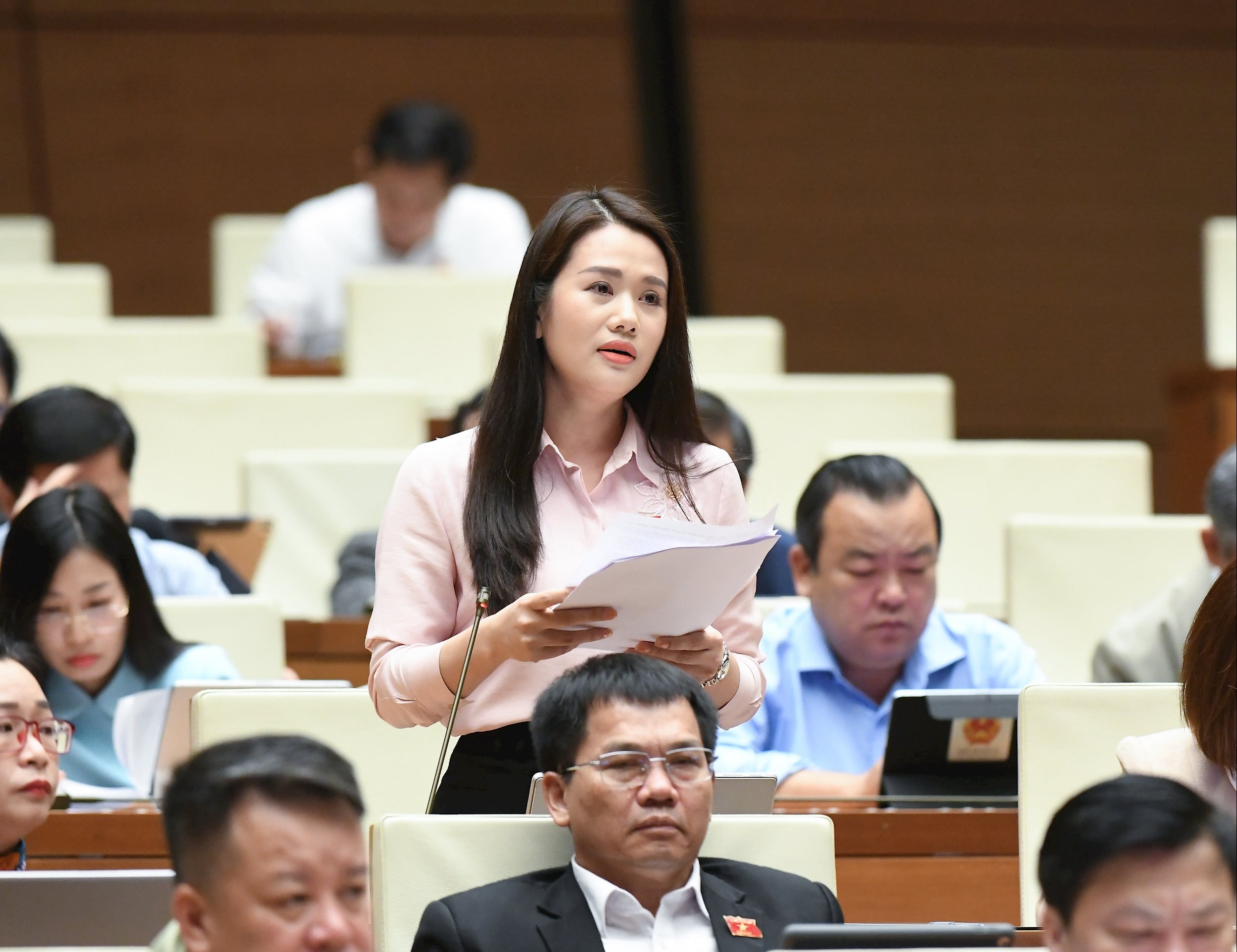 Đại biểu Vương Thị Hương - Tuyên Quang.1