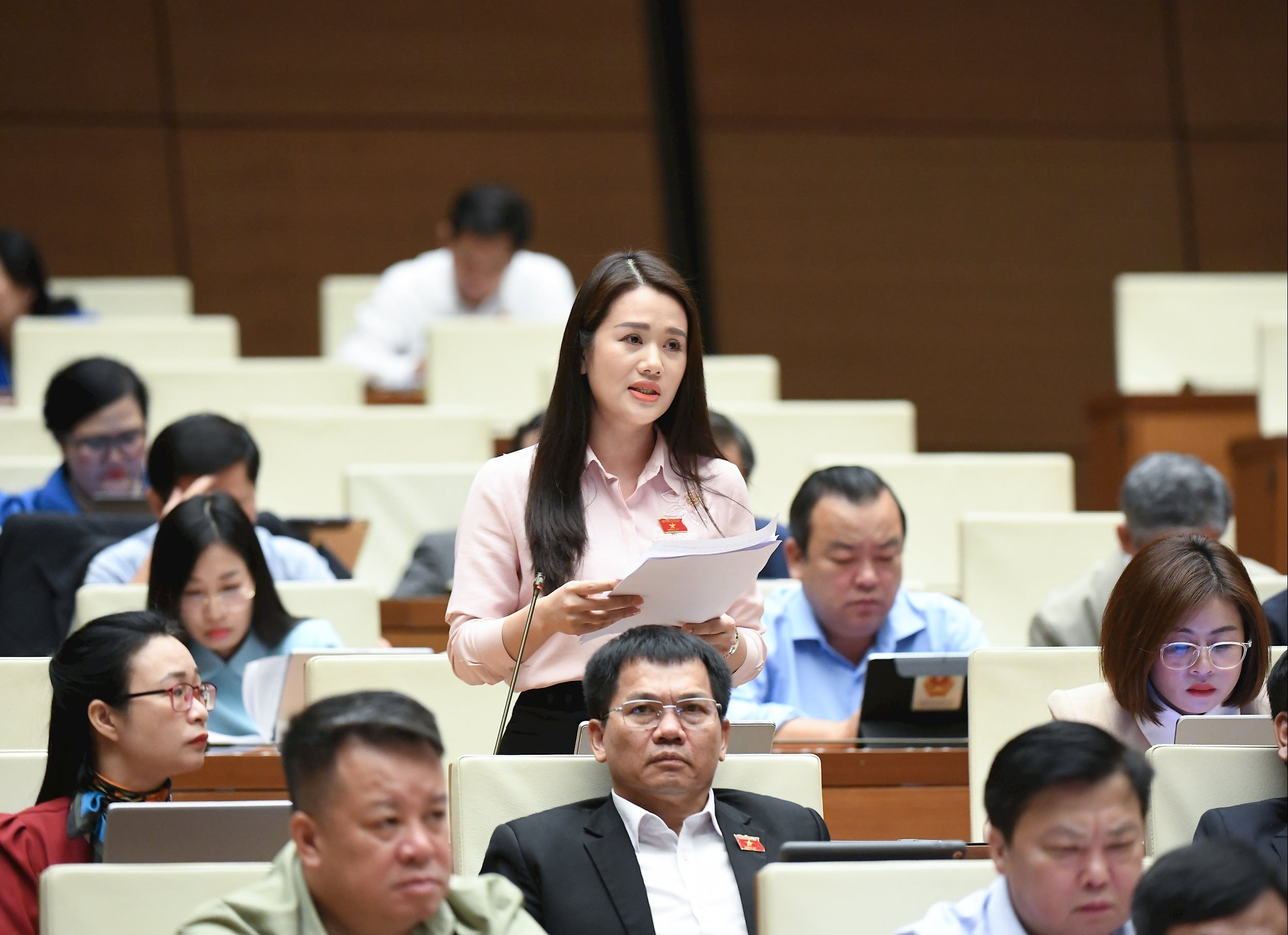 Đại biểu Vương Thị Hương - Tuyên Quang.2