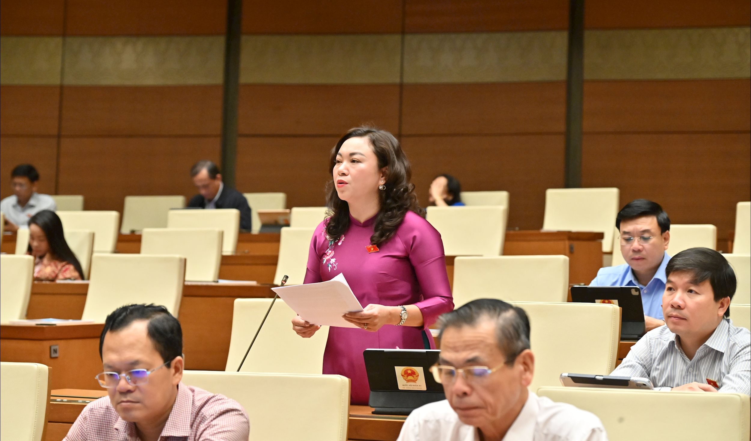 ĐBQH Đặng Bích Ngọc (Phú Thọ)VQK_0690