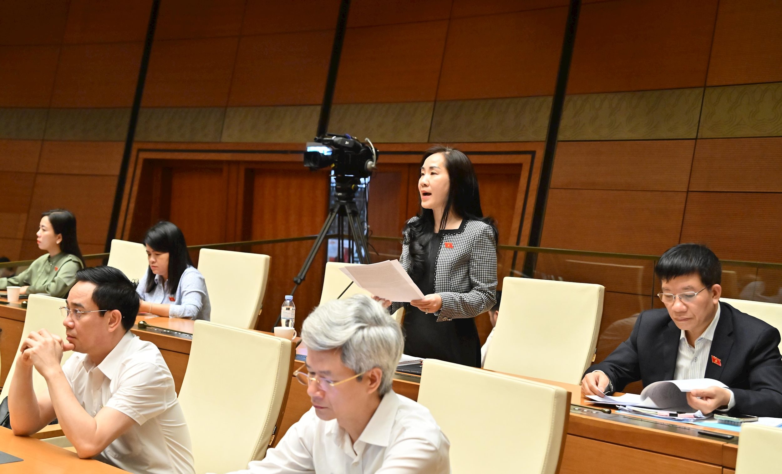 ĐBQH Đoàn Thị Thanh Mai (Hưng Yên)VQK_0884