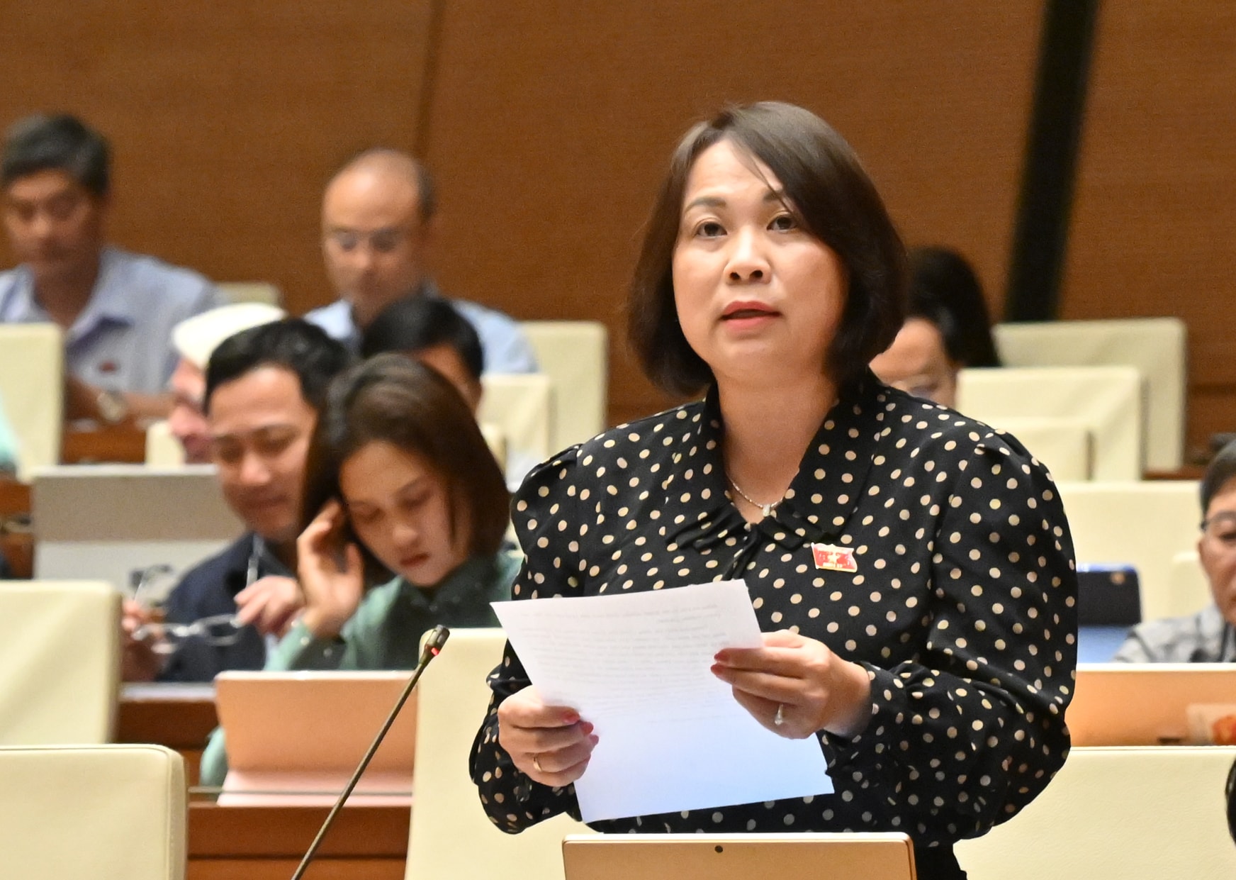 ĐBQH Nguyễn Thị Thu Thủy (Gia Lai)VQK_0960