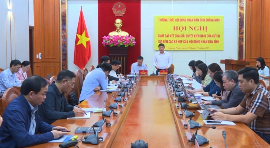 Phó Chủ tịch HĐND tỉnh Nghiêm Xuân Cường thay mặt Thường trực HĐND tỉnh phát biểu kết luận hội nghị. Ảnh: P. Nam