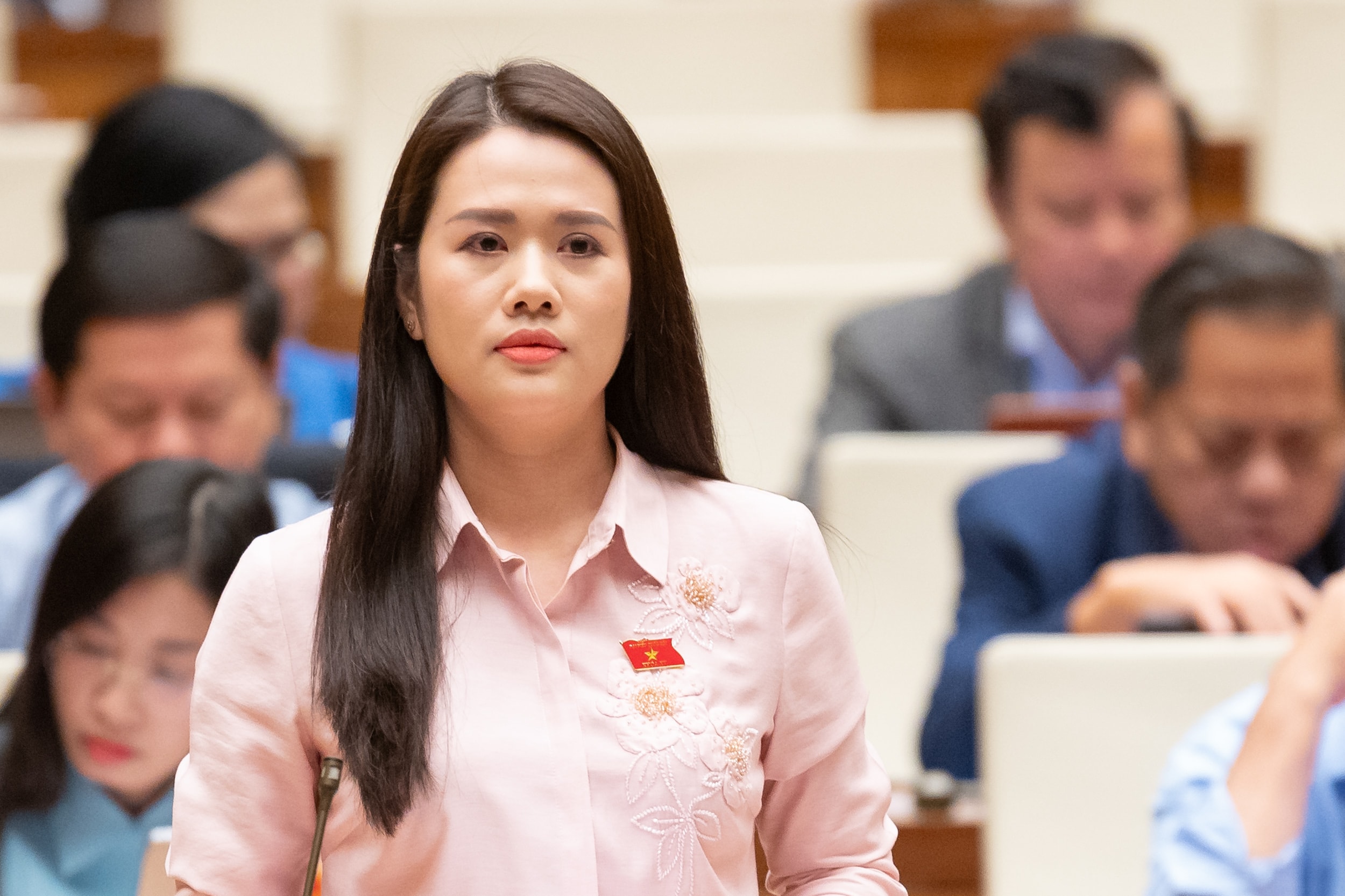 ប្រតិភូរដ្ឋសភាវៀតណាម លោក Vuong Thi Huong (Tuyen Quang)